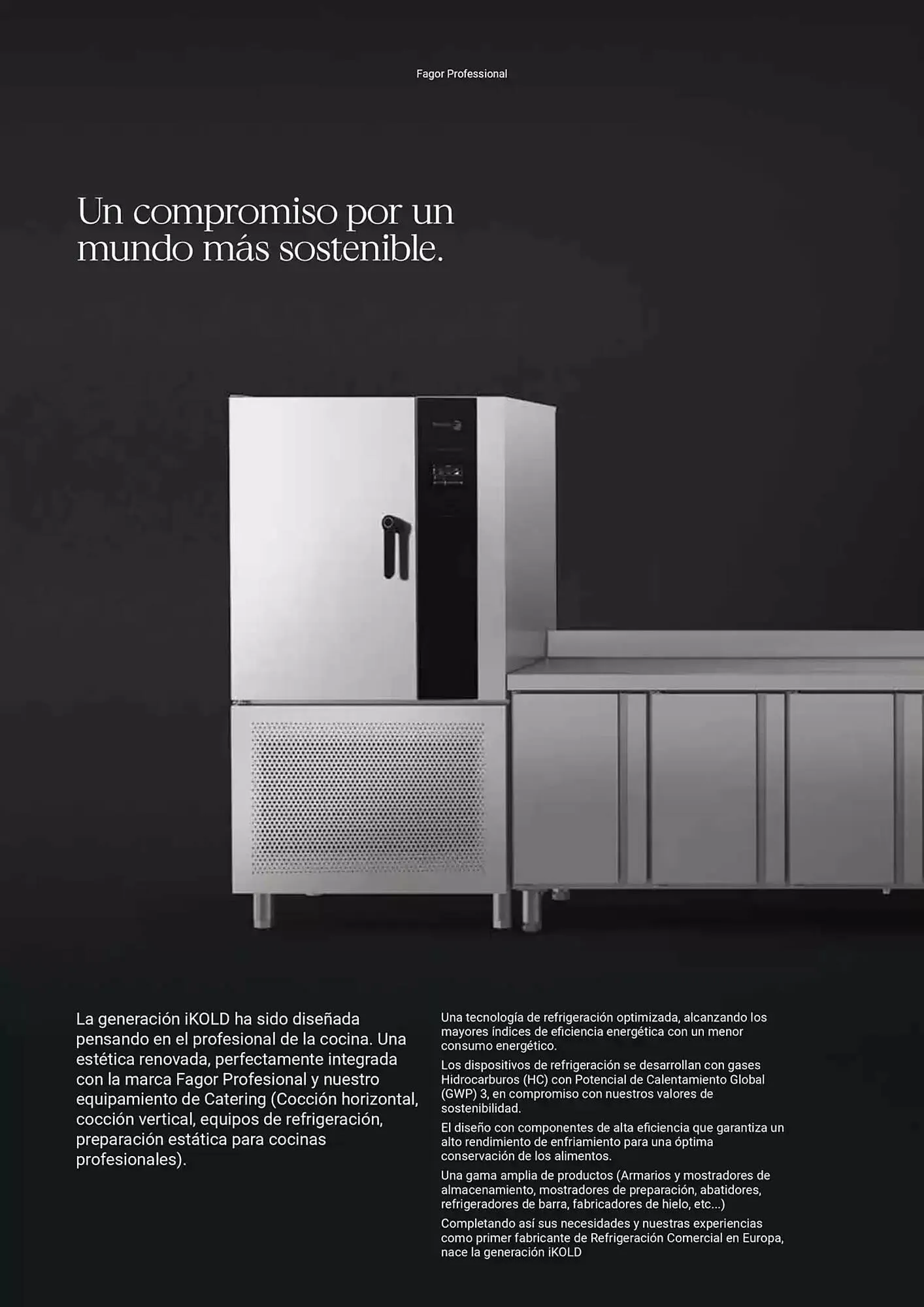 Catálogo de Folleto Fagor 3 de marzo al 1 de enero 2026 - Página 250