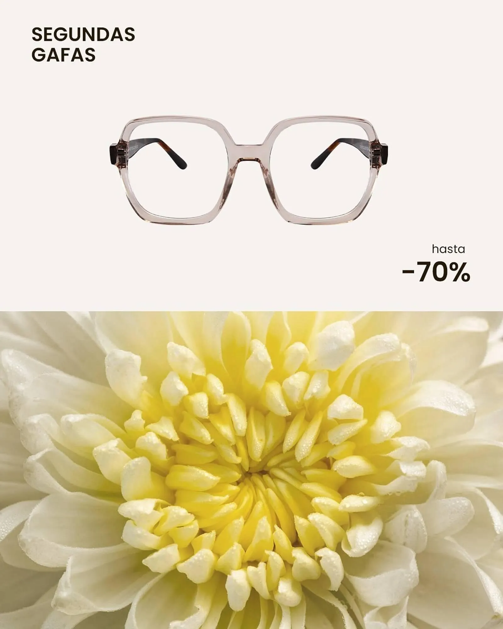 Catálogo de Catálogo Soloptical 11 de marzo al 9 de mayo 2026 - Página 2