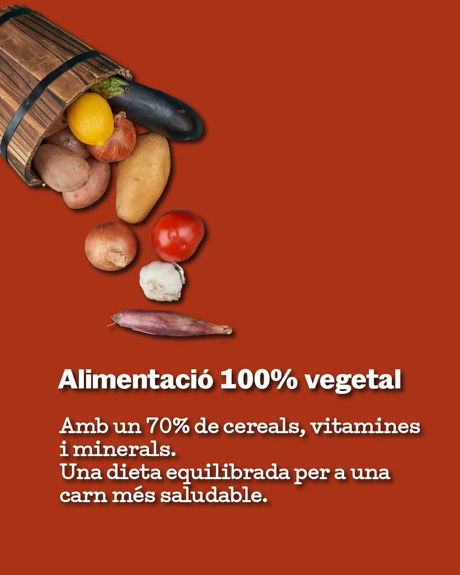 Catálogo de Catálogo Sorli 12 de diciembre al 18 de diciembre 2025 - Página 3