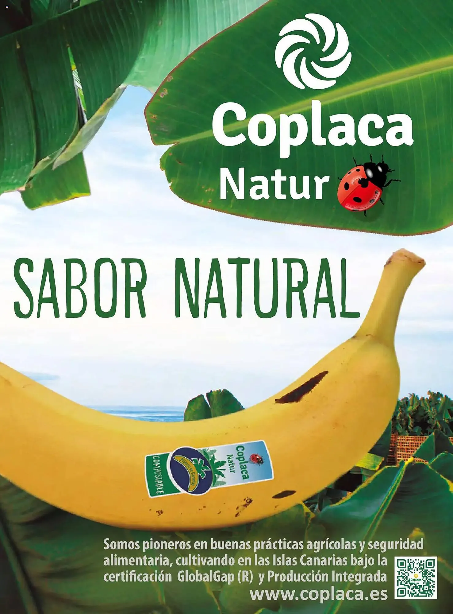 Catálogo de Catálogo Costco 19 de marzo al 31 de mayo 2026 - Página 119