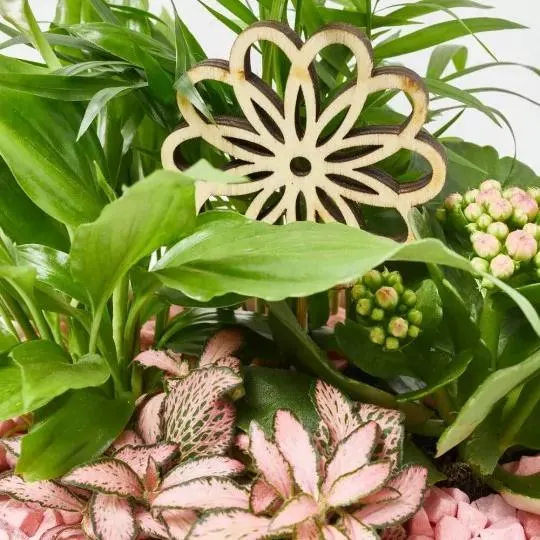 COMPOSICIÓN CERÁMICA BLANCA 21CM PICK ESTRELLA