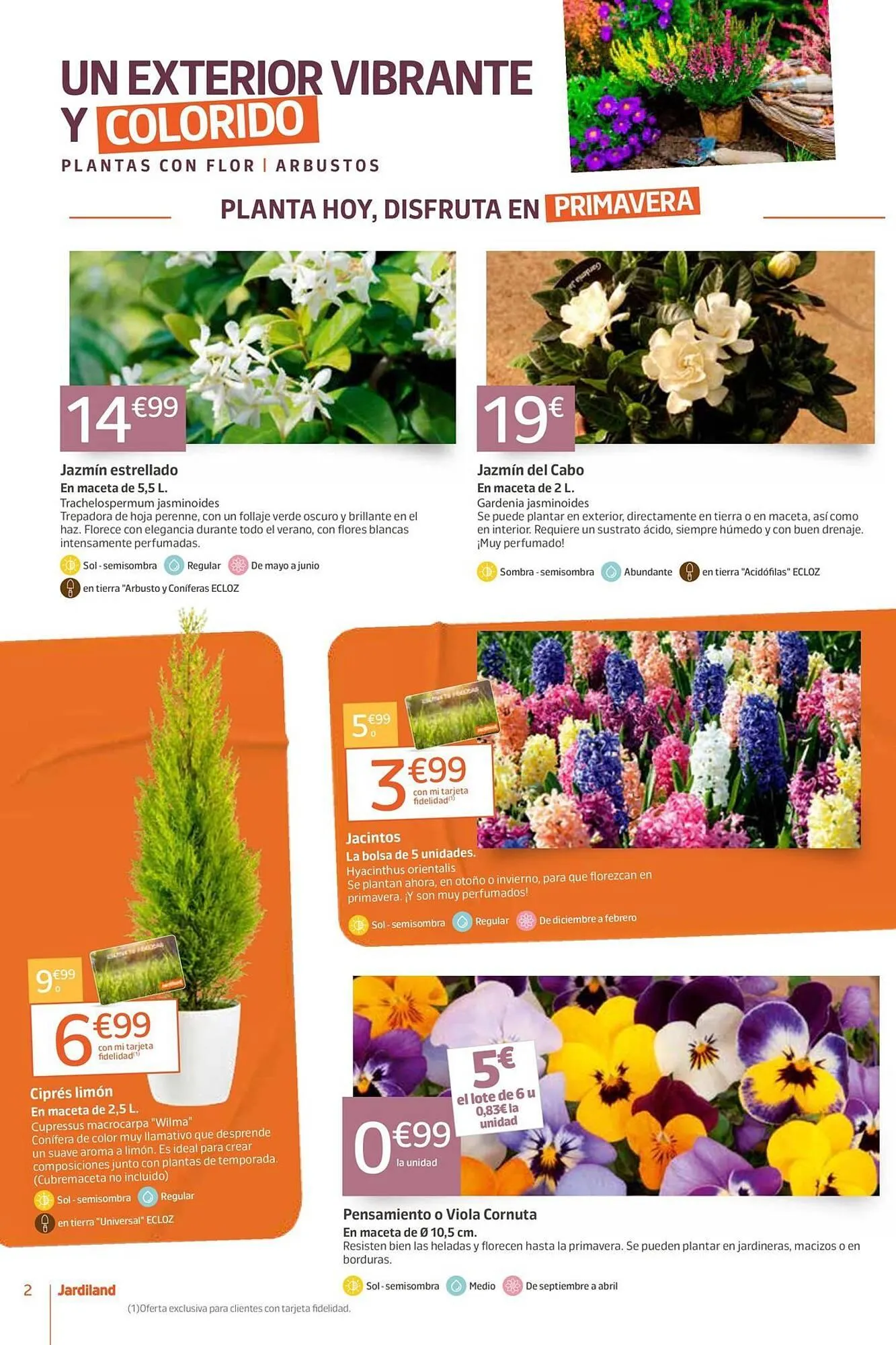 Catálogo de Catálogo Jardiland 23 de octubre al 3 de noviembre 2025 - Página 2