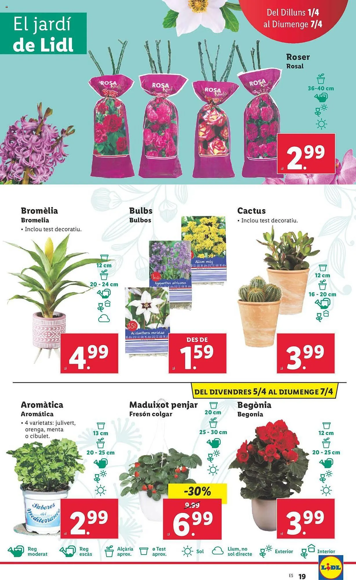 Catálogo de Folleto Lidl 1 de abril al 7 de abril 2024 - Página 39