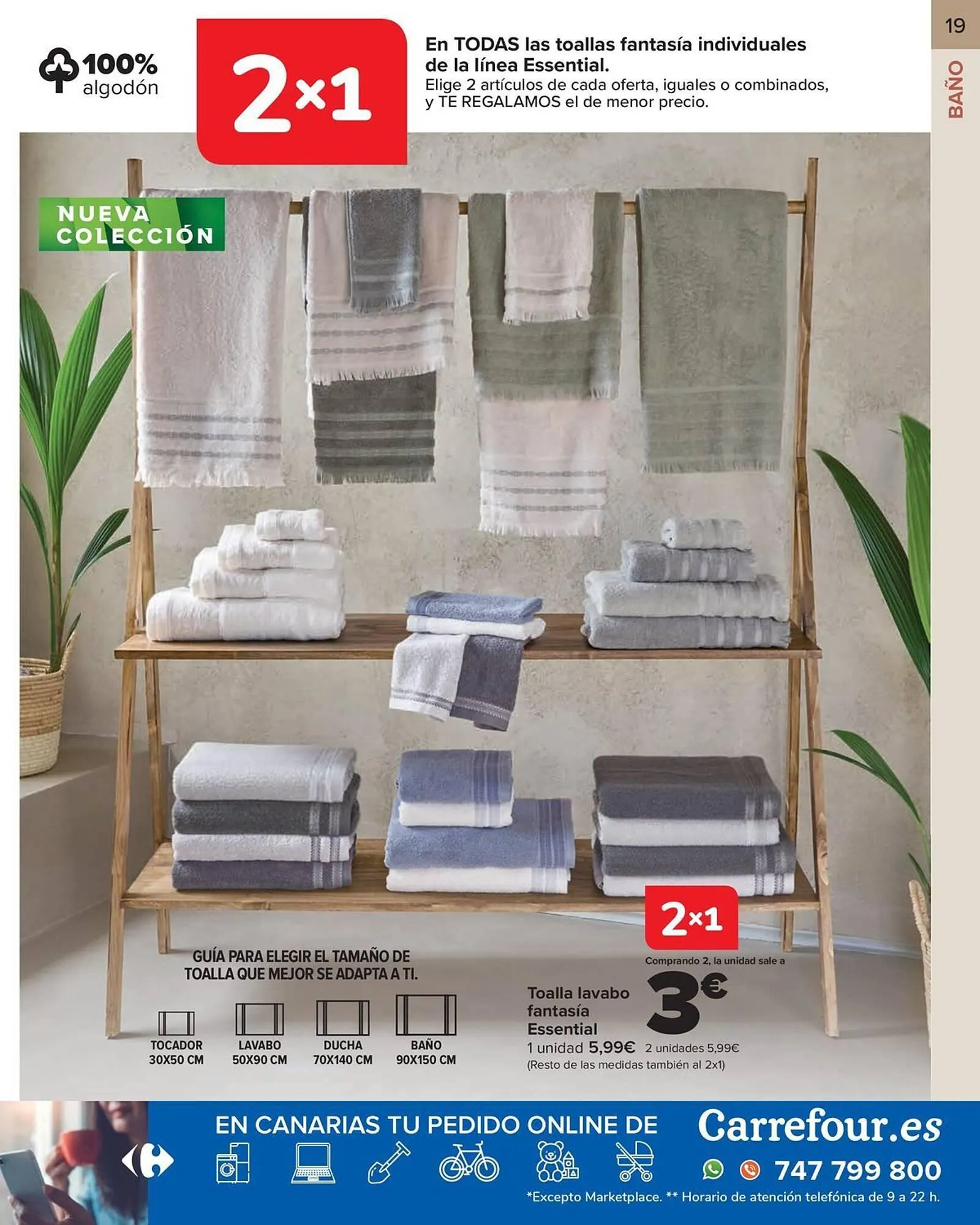 Catálogo de Folleto Carrefour 9 de enero al 18 de febrero 2026 - Página 19