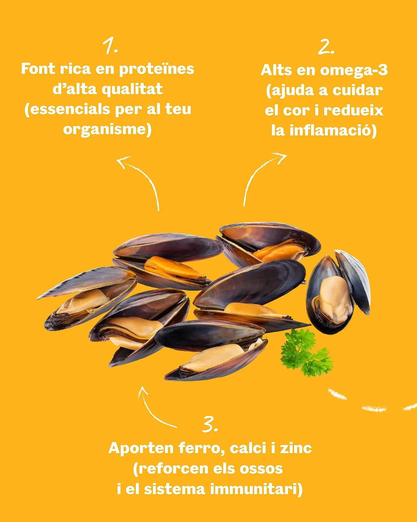 Catálogo de Folleto Sorli 25 de junio al 30 de junio 2025 - Página 2