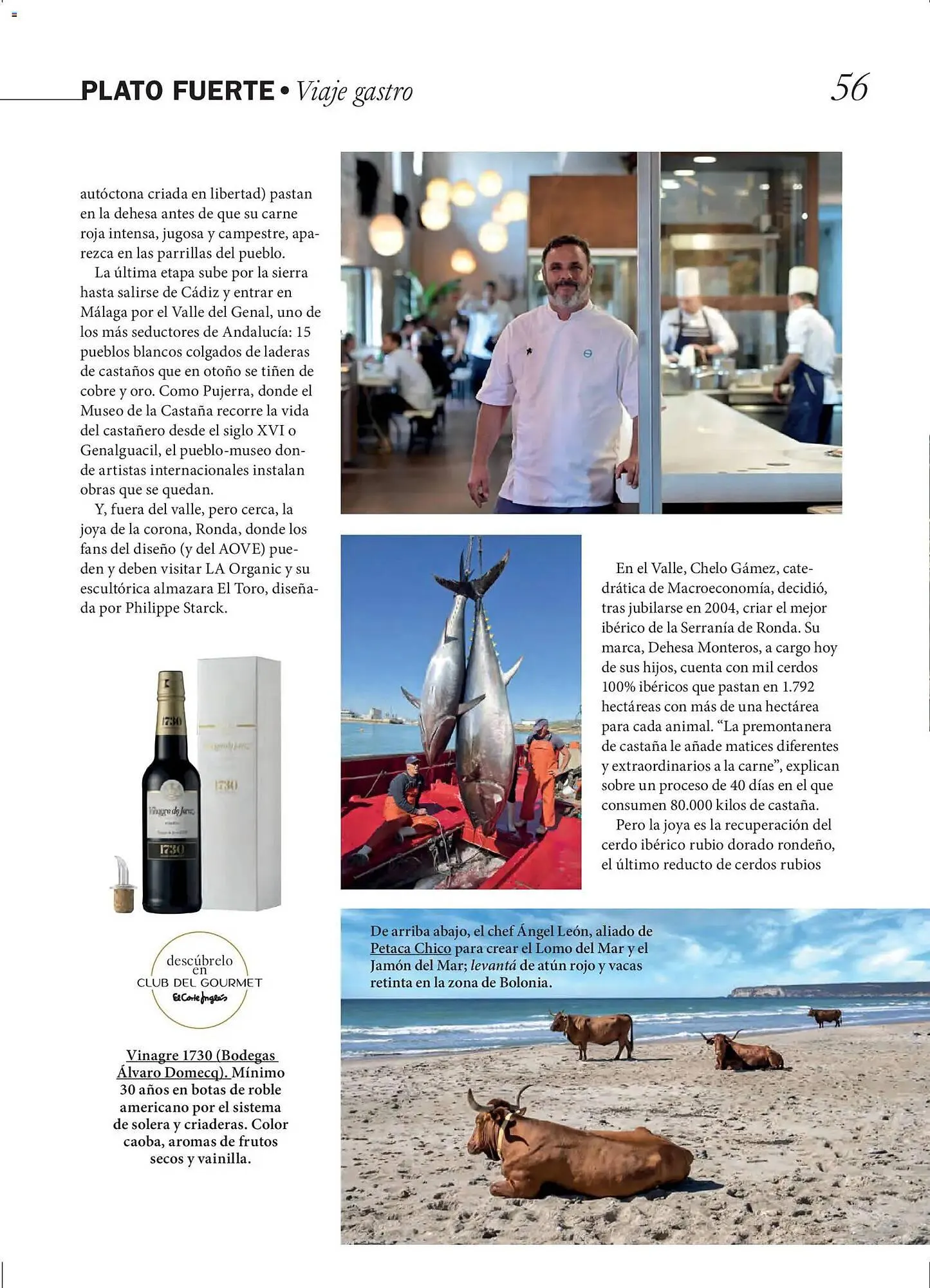 Catálogo de Catálogo El Corte Inglés 1 de abril al 30 de junio 2026 - Página 56