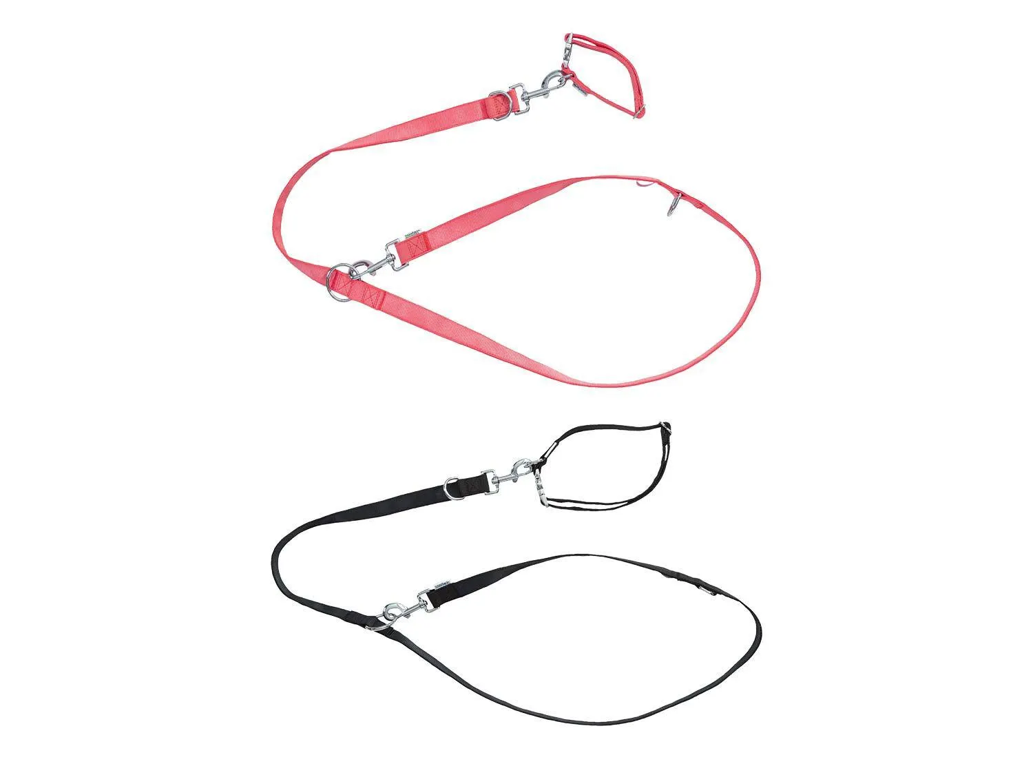 Set de collar y correa para perro pequeño