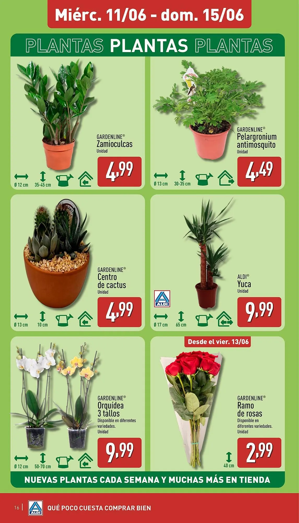 Catálogo de Folleto ALDI 9 de junio al 15 de junio 2025 - Página 16