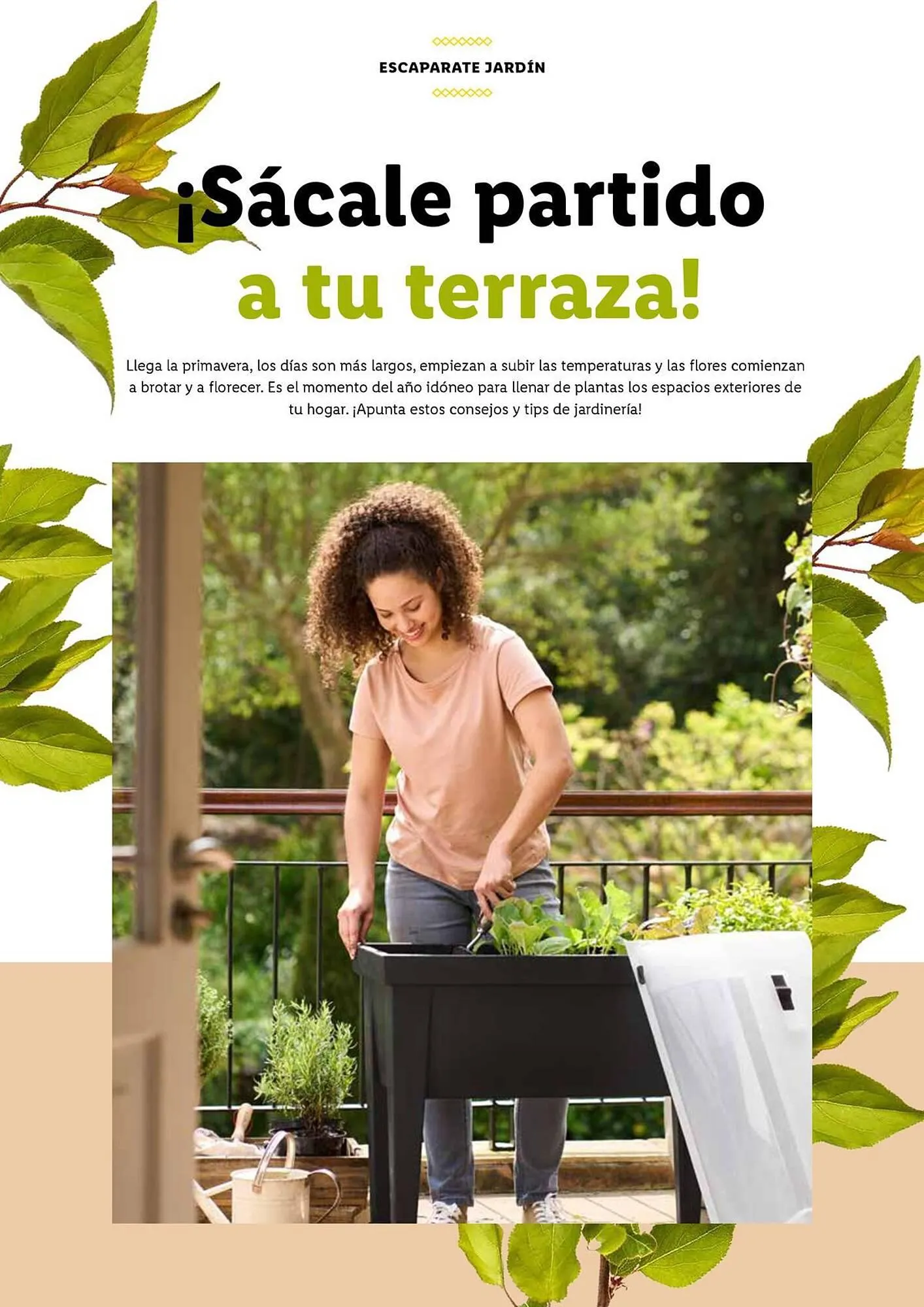 Catálogo de Folleto Lidl 5 de marzo al 1 de abril 2024 - Página 54