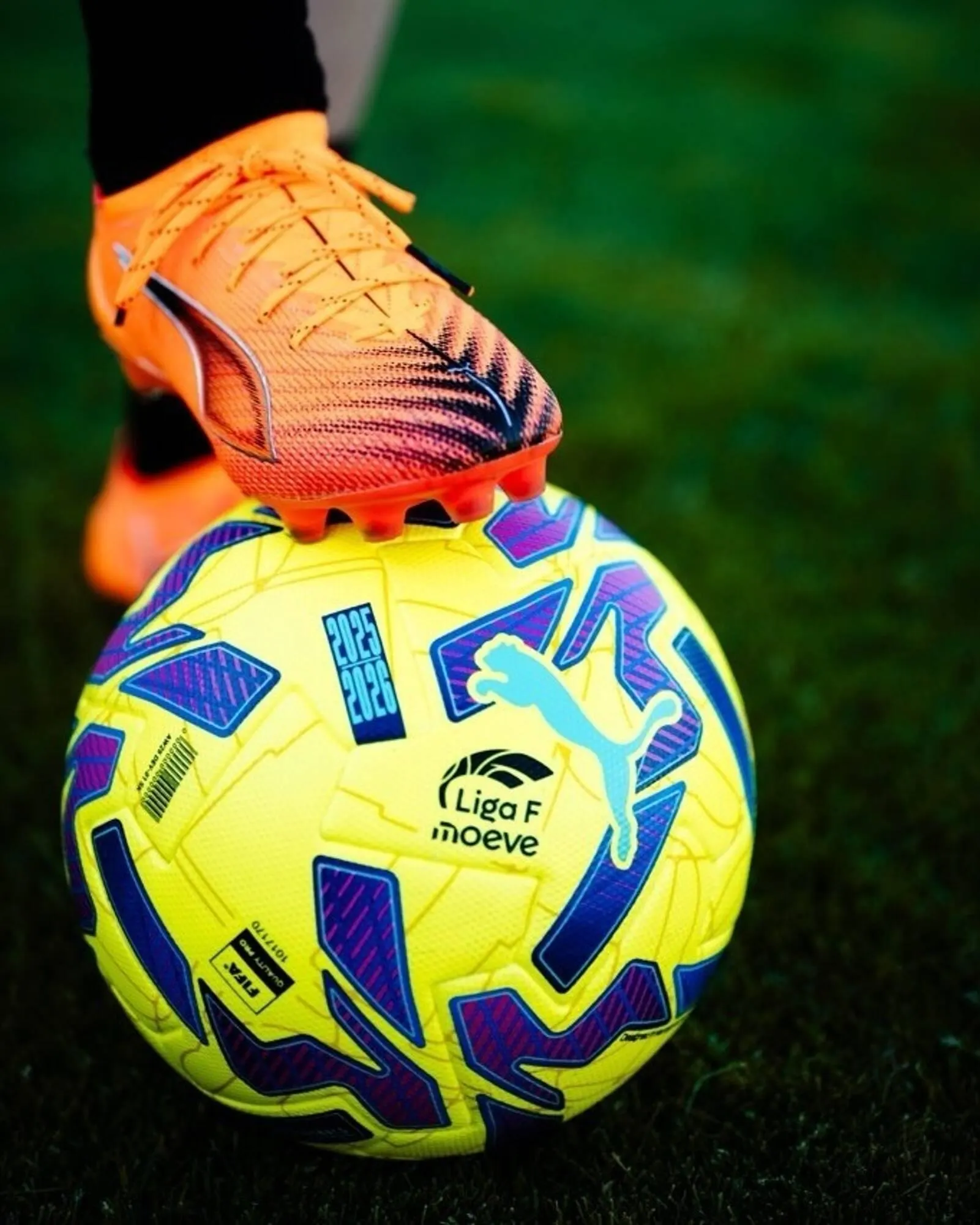 Catálogo de Catálogo Deportes Blanes 11 de noviembre al 10 de enero 2026 - Página 1