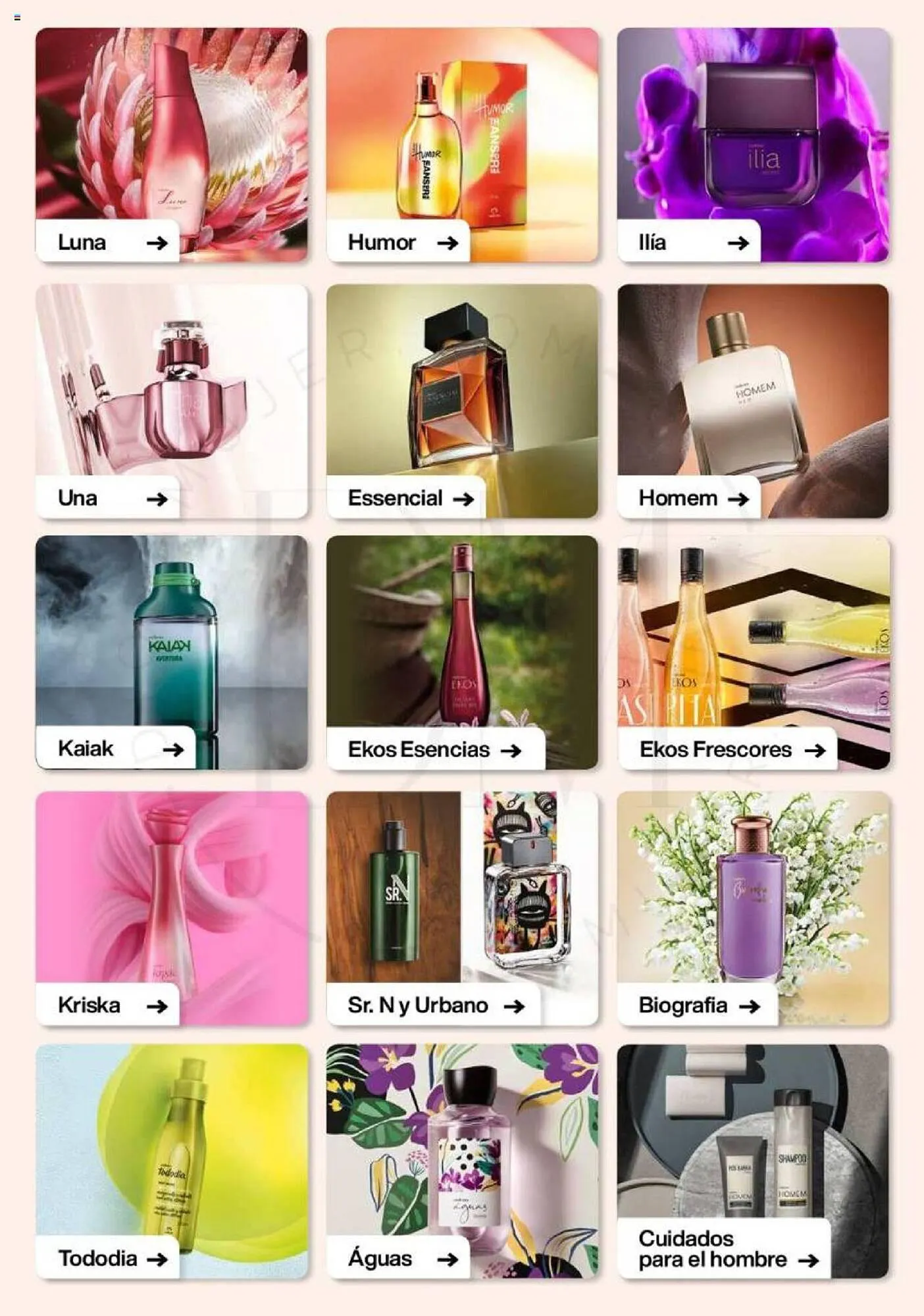 Catálogo de Folleto Natura 1 de septiembre al 30 de septiembre 2023 - Página 42