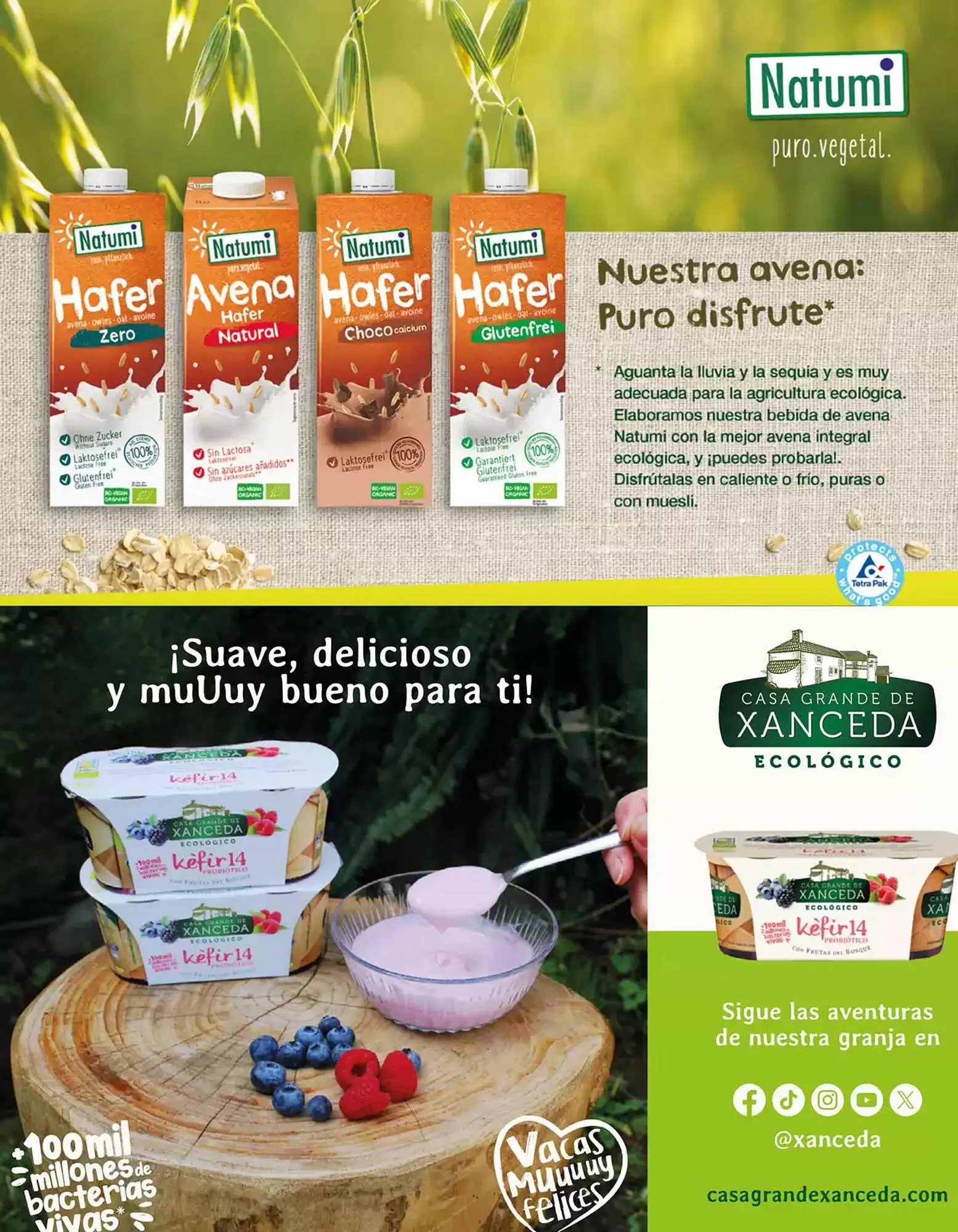 Catálogo de Folleto Veritas 1 de abril al 31 de mayo 2025 - Página 35