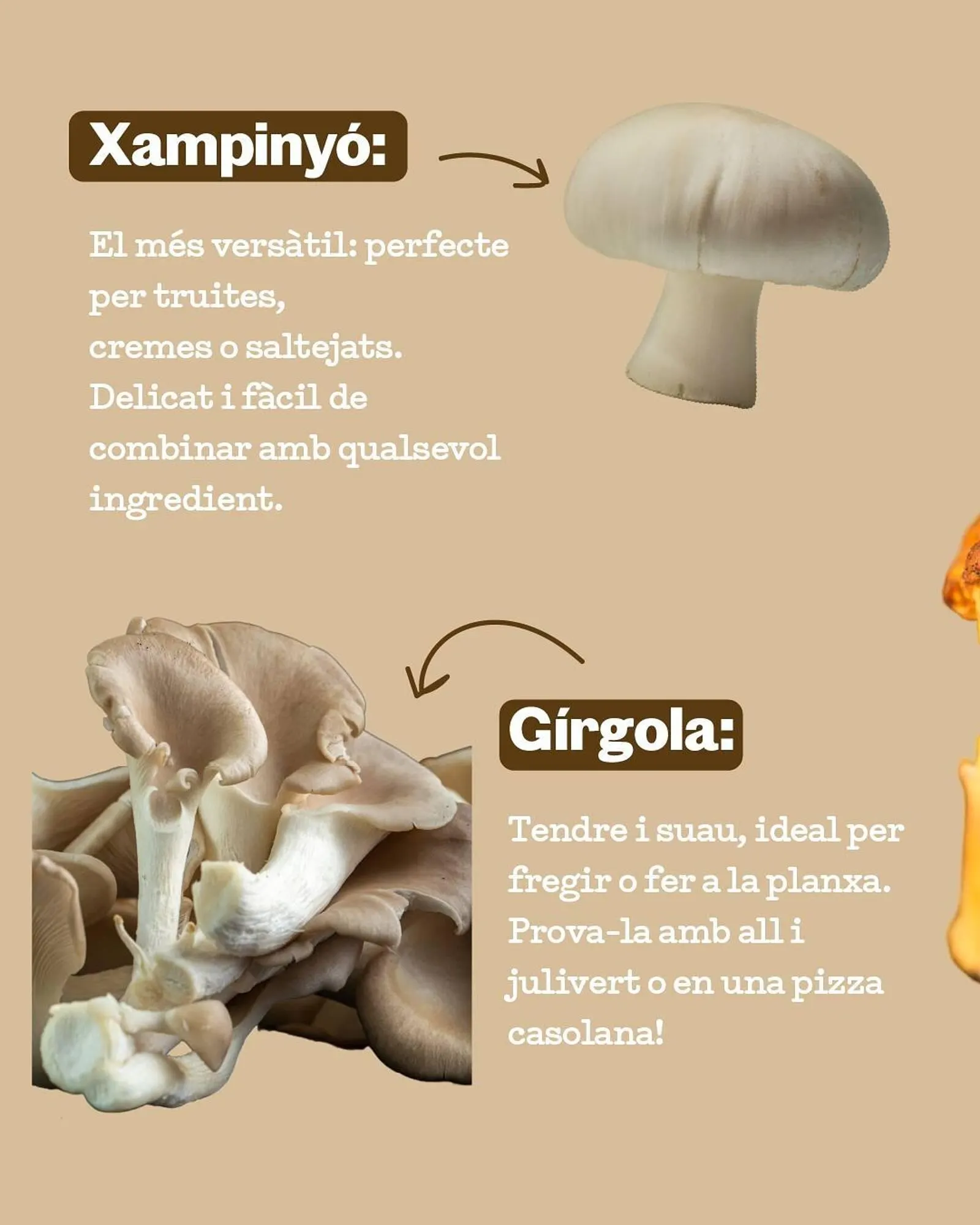 Catálogo de Catálogo Sorli 18 de noviembre al 6 de diciembre 2025 - Página 2