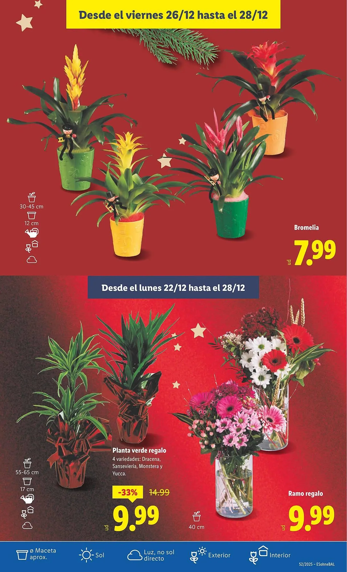 Catálogo de Catálogo Lidl 22 de diciembre al 28 de diciembre 2025 - Página 53