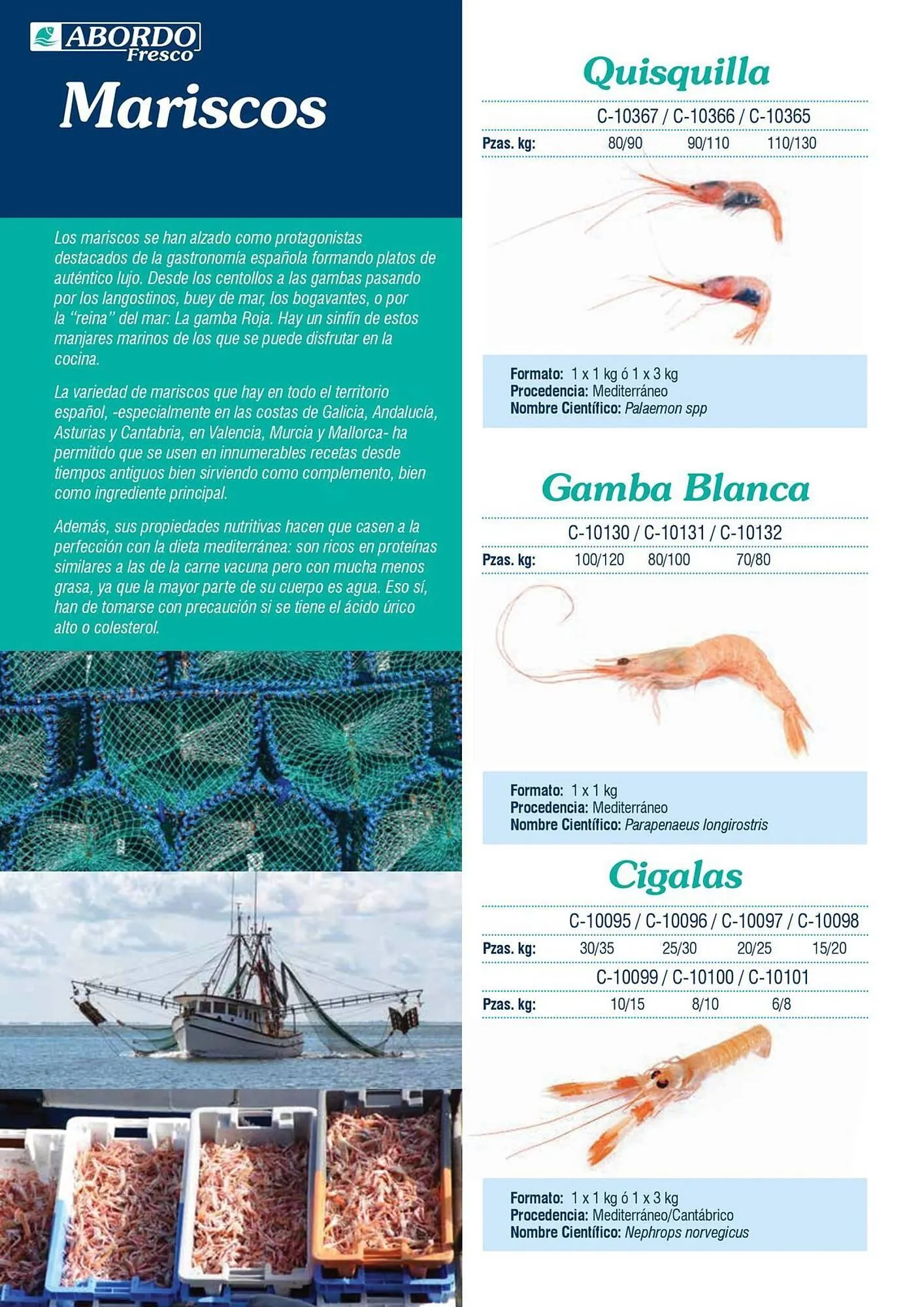 Catálogo de Folleto Abordo 5 de marzo al 30 de junio 2026 - Página 30