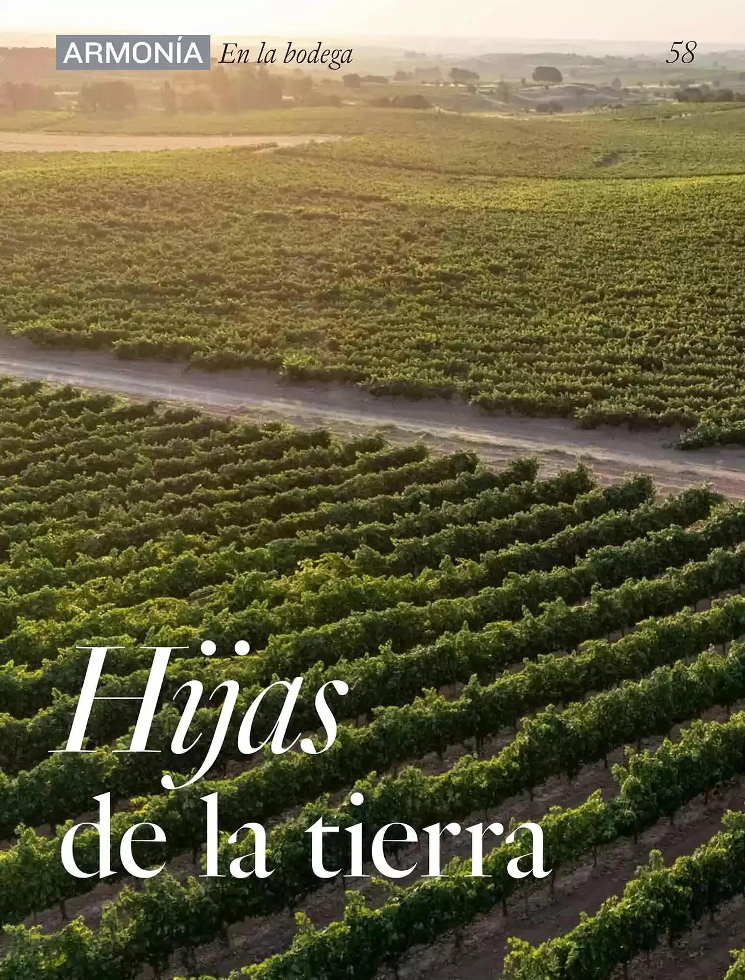 Catálogo de Folleto El Corte Inglés 1 de abril al 30 de junio 2025 - Página 58