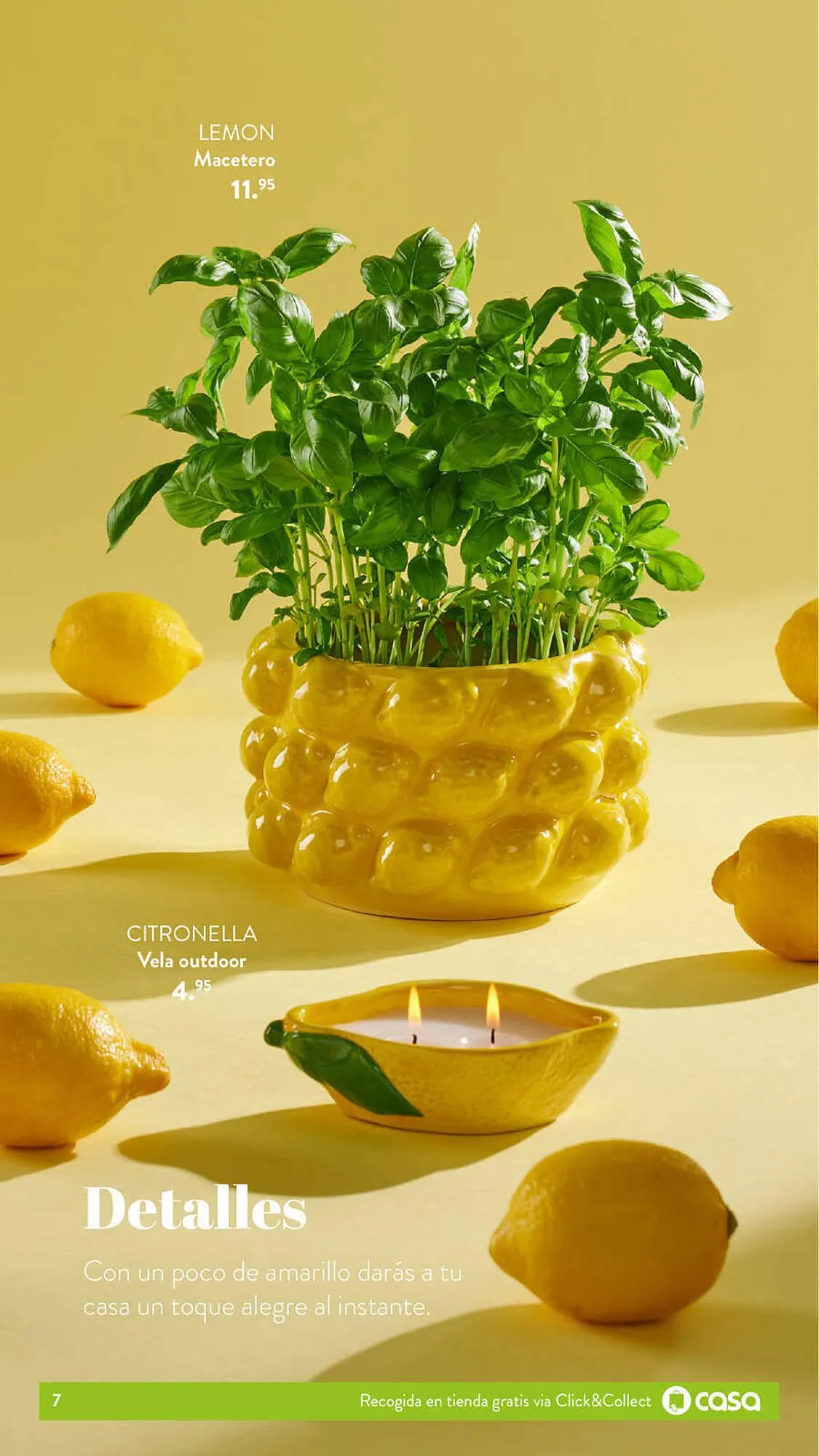 Catálogo de Folleto Casa 1 de junio al 19 de julio 2023 - Página 7