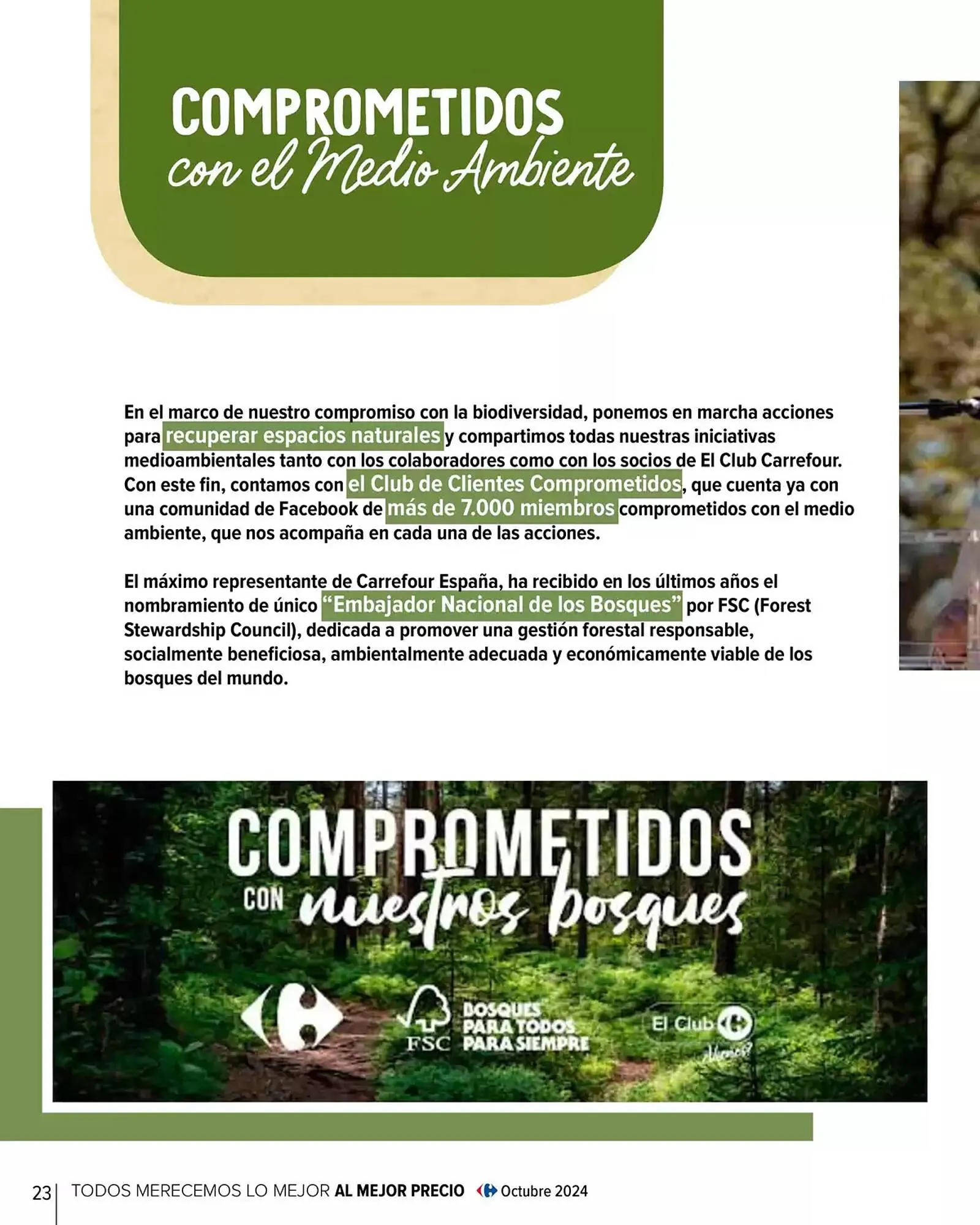 Catálogo de Folleto Carrefour 29 de enero al 30 de abril 2025 - Página 24