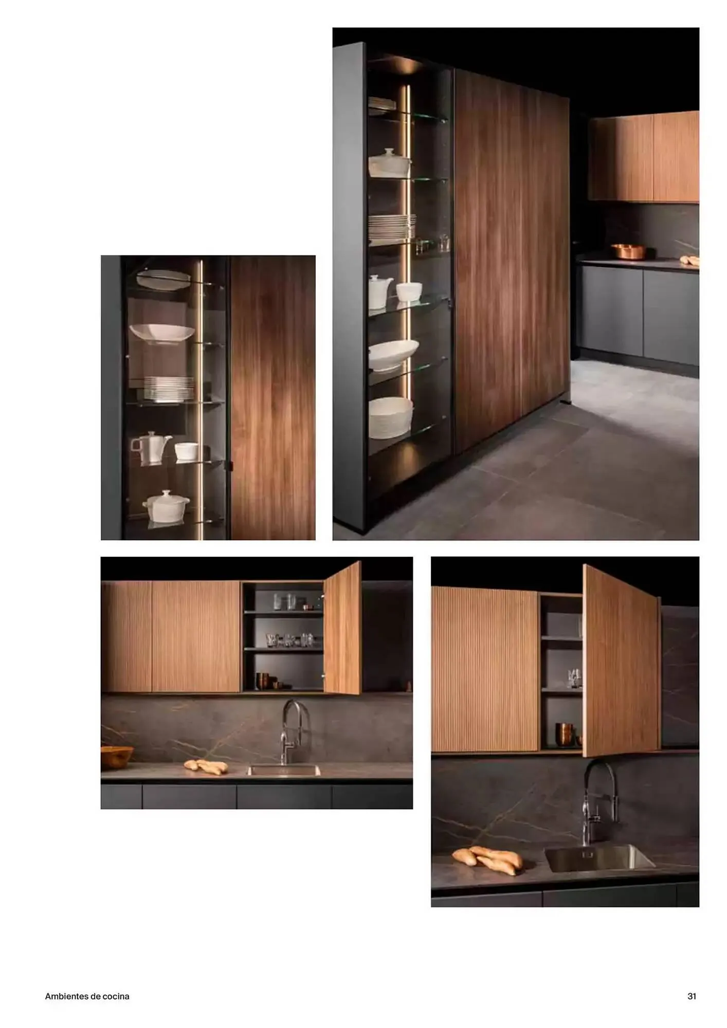 Catálogo de Folleto Roca 9 de enero al 31 de diciembre 2025 - Página 31