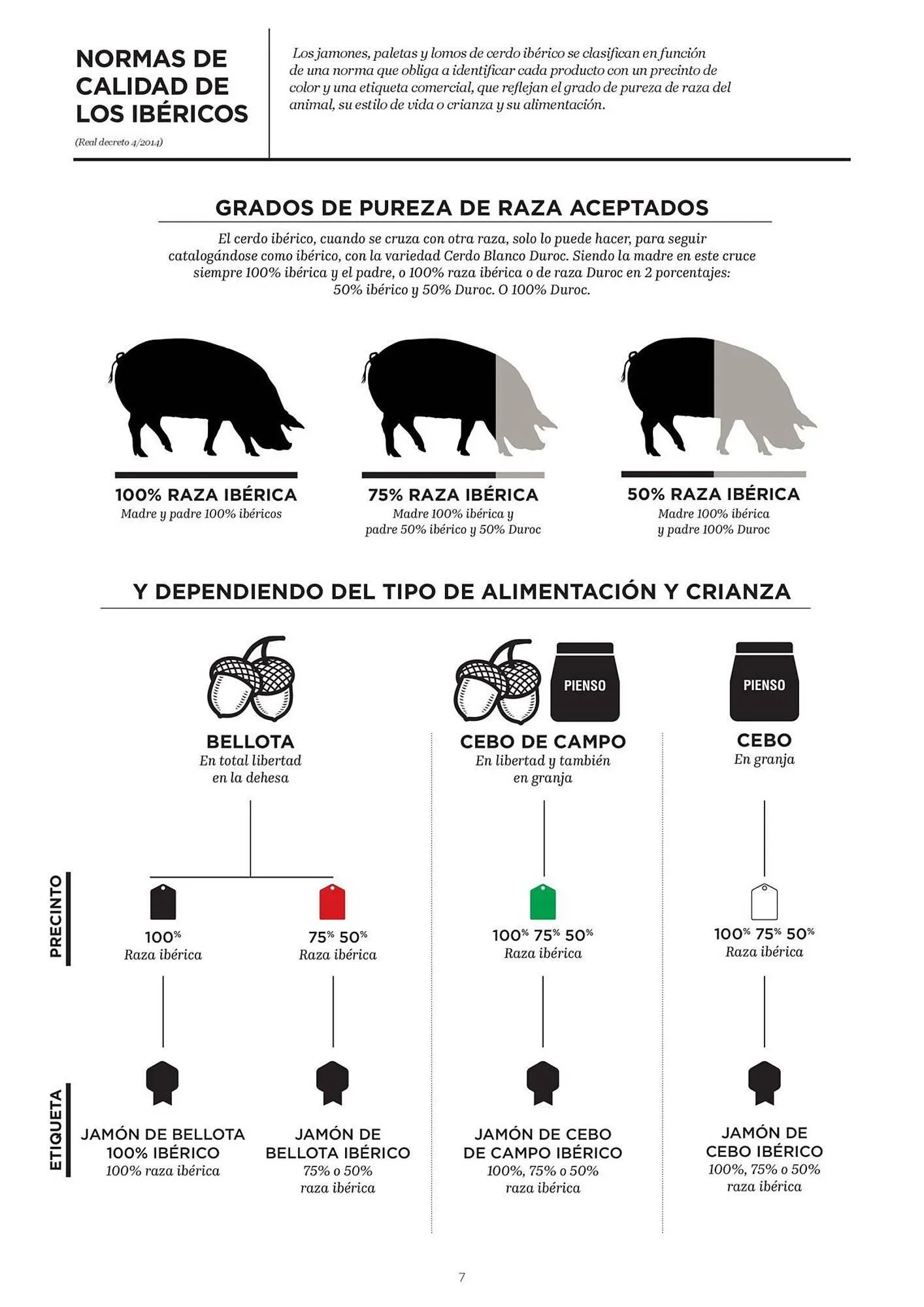 Catálogo de Catálogo El Corte Inglés 29 de enero al 11 de febrero 2026 - Página 7