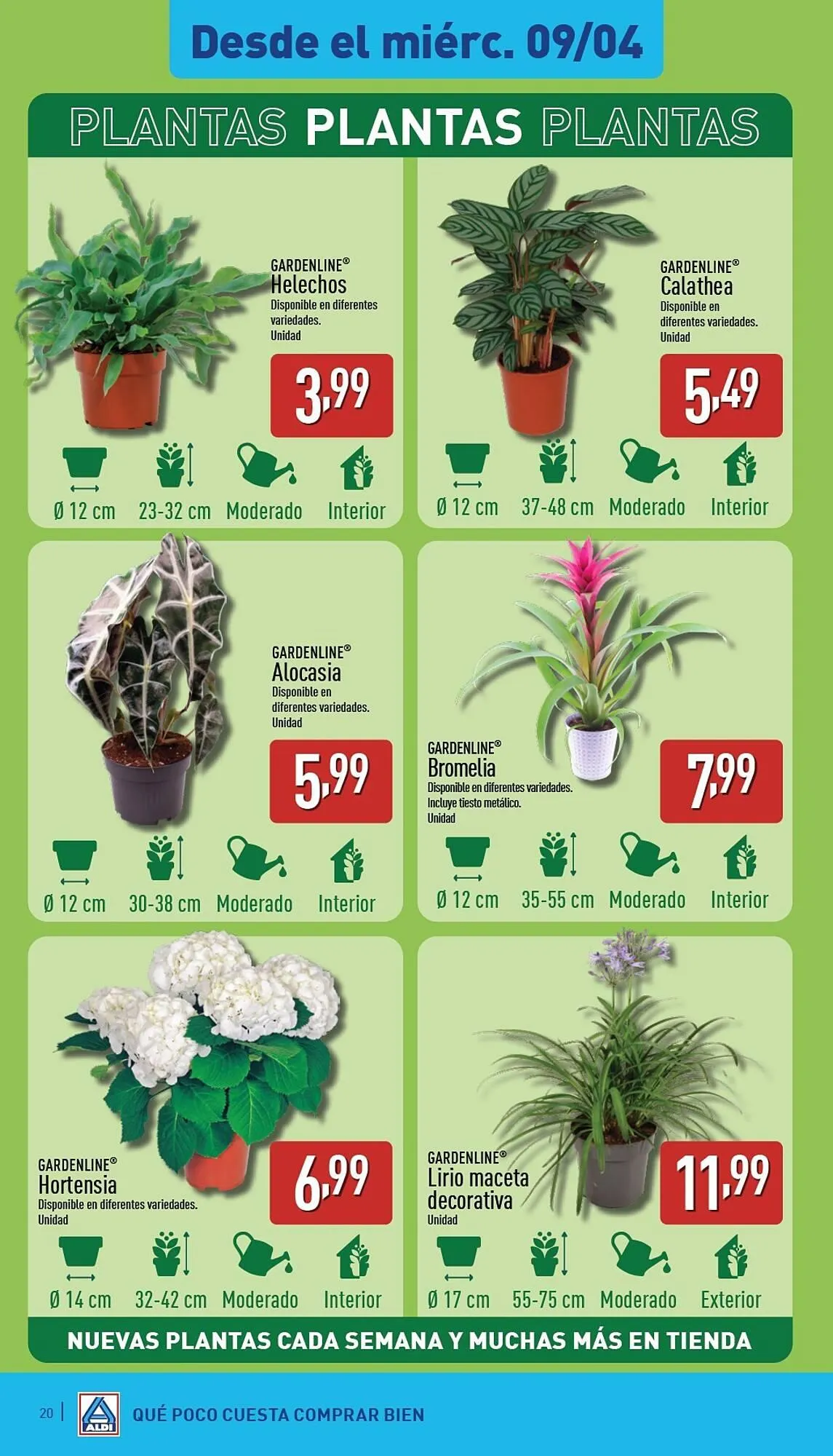 Catálogo de Folleto ALDI 7 de abril al 13 de abril 2025 - Página 20