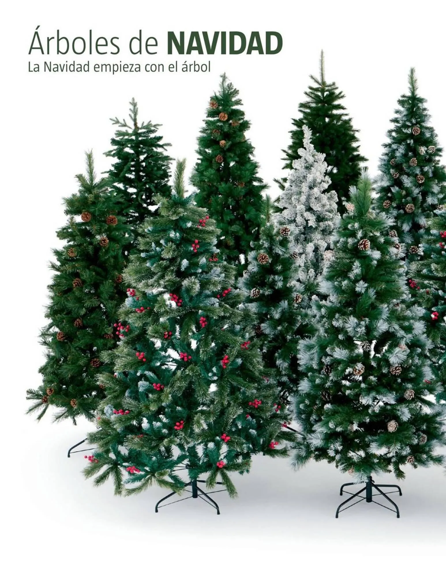 Catálogo de Catálogo Bauhaus 6 de noviembre al 31 de diciembre 2025 - Página 40