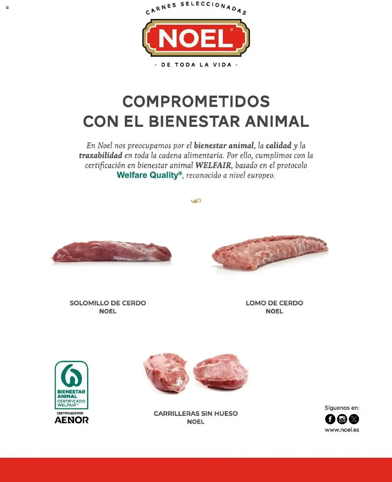 Catálogo de Folleto Costco 8 de abril al 31 de julio 2025 - Página 145