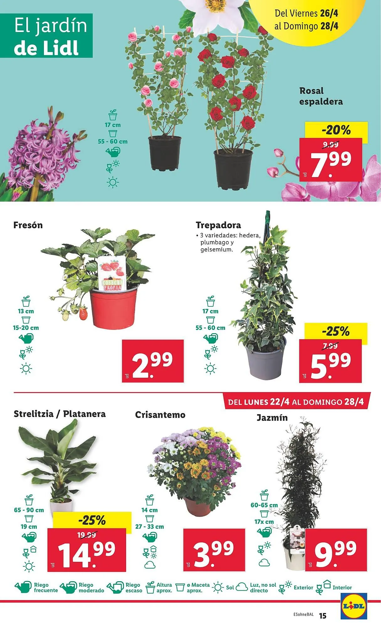 Catálogo de Folleto Lidl 22 de abril al 28 de abril 2024 - Página 35