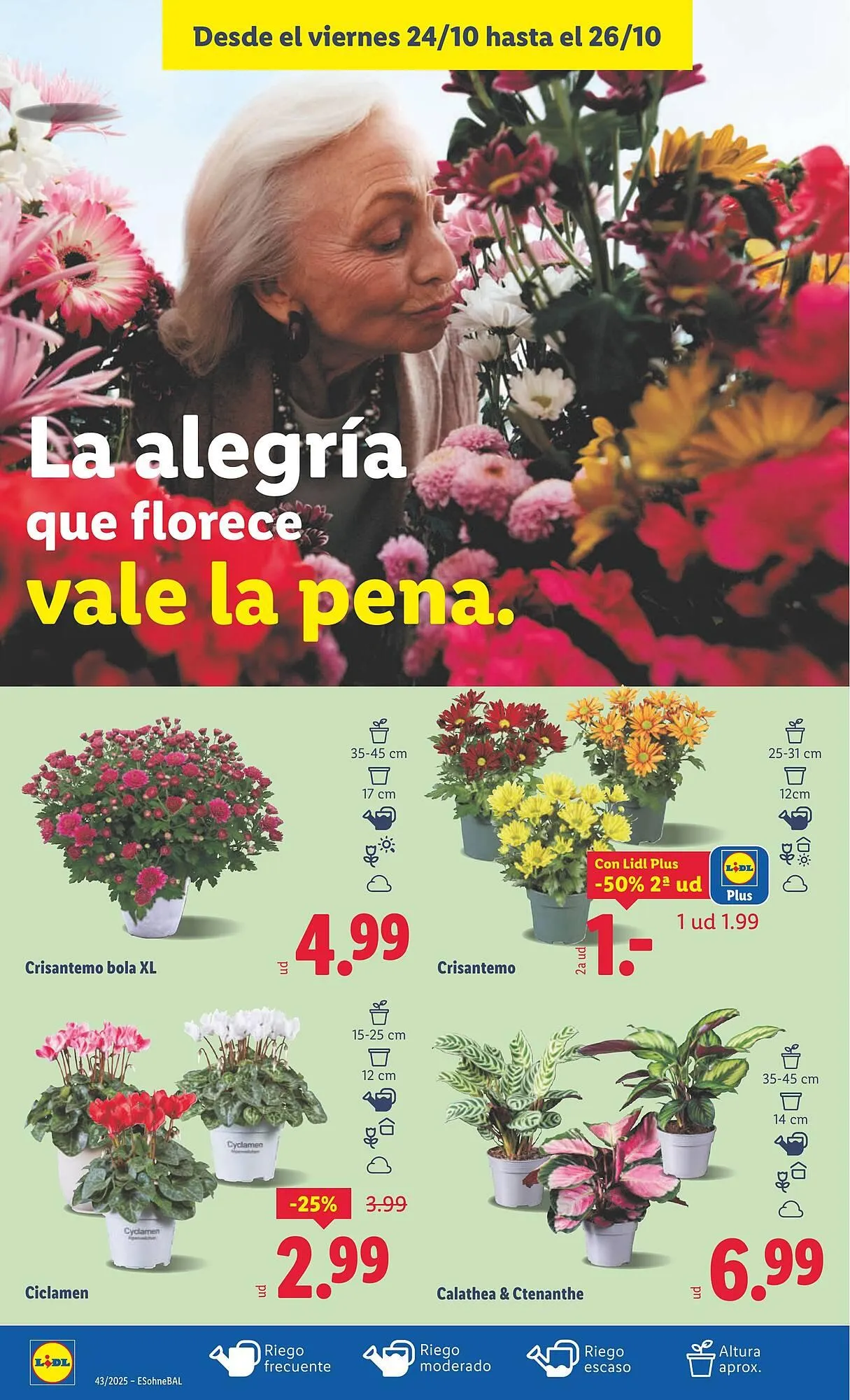 Catálogo de Catálogo Lidl 20 de octubre al 26 de octubre 2025 - Página 40