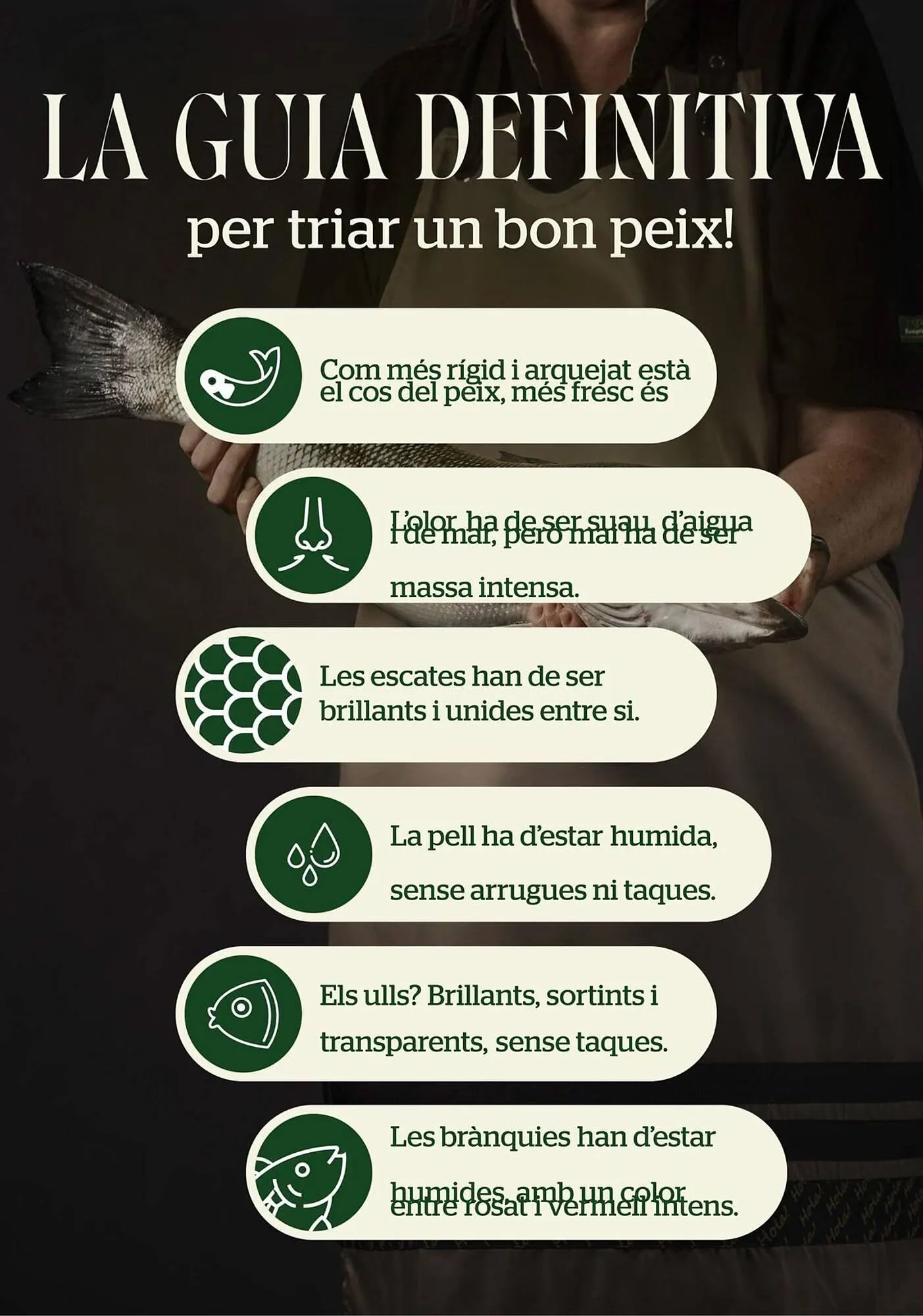 Catálogo de Folleto BonpreuEsclat 30 de enero al 30 de junio 2026 - Página 22