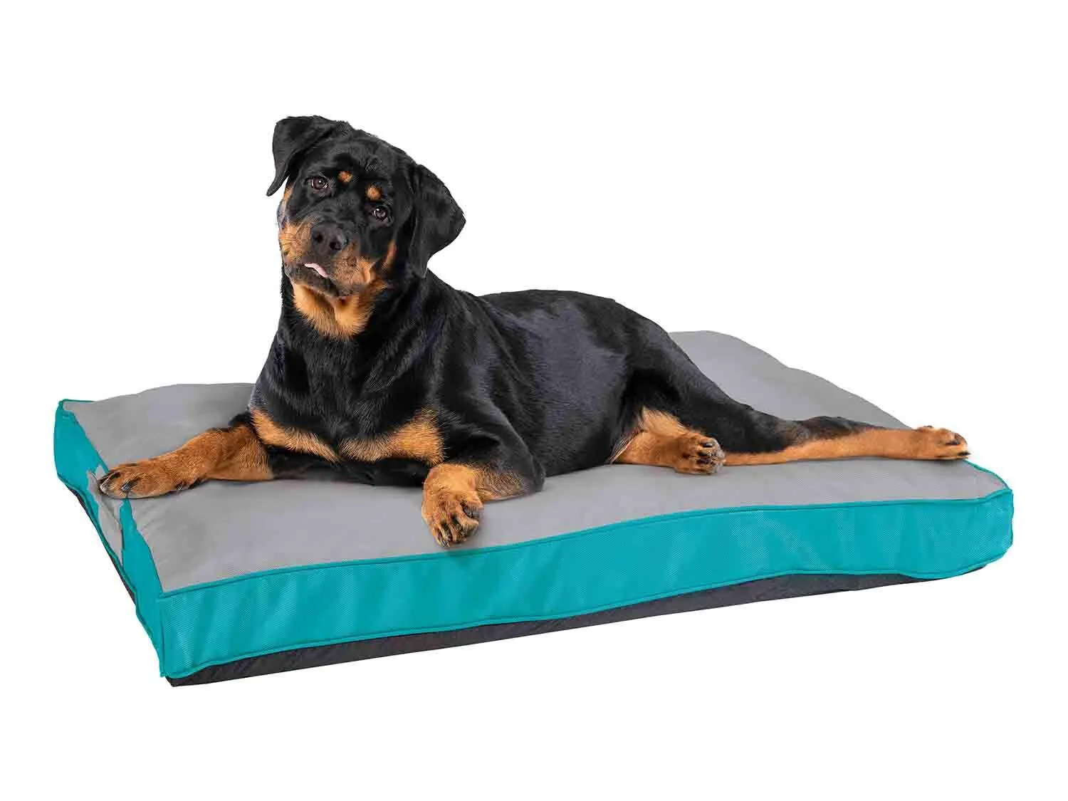 Cama de exteriores para perro