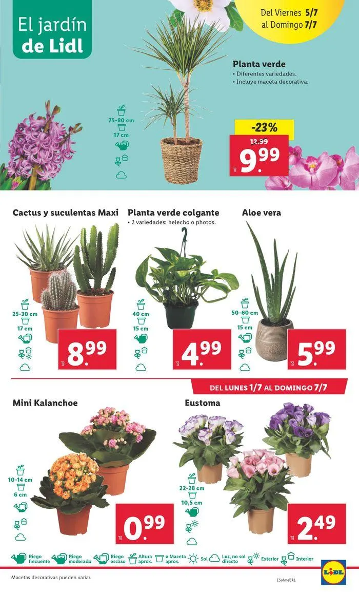 Catálogo de Bazar Lidl 1 de julio al 7 de julio 2024 - Página 43