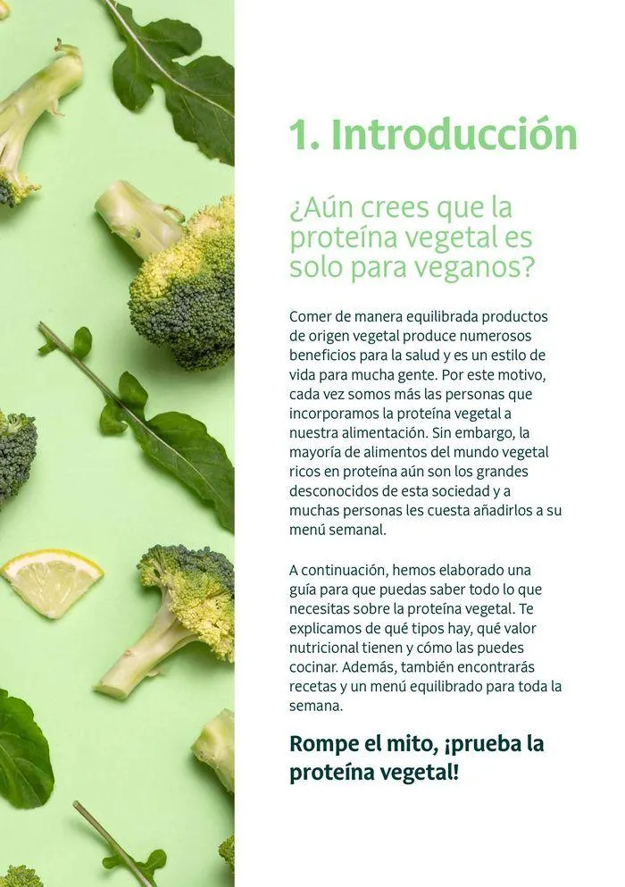 Catálogo de Veritas Guía vegana 2 de septiembre al 31 de diciembre 2024 - Página 3