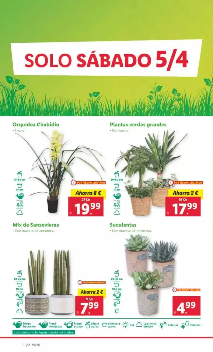 Catálogo de № 1 PRECIO - Ofertas válidas del 31/03 al 06/04 31 de marzo al 6 de abril 2025 - Página 34