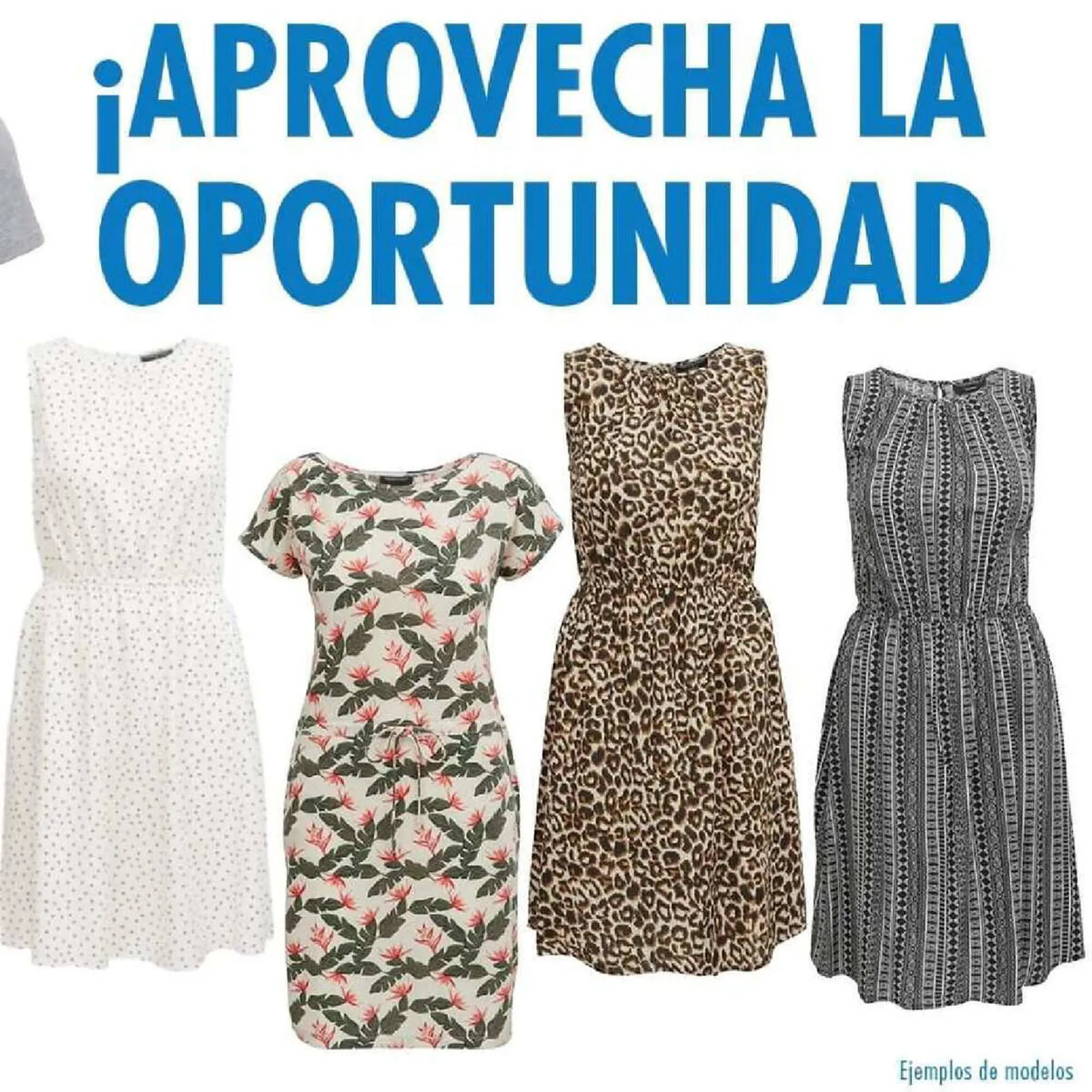 Catálogo de Catálogo TEDi 26 de mayo al 31 de julio 2023 - Página 3