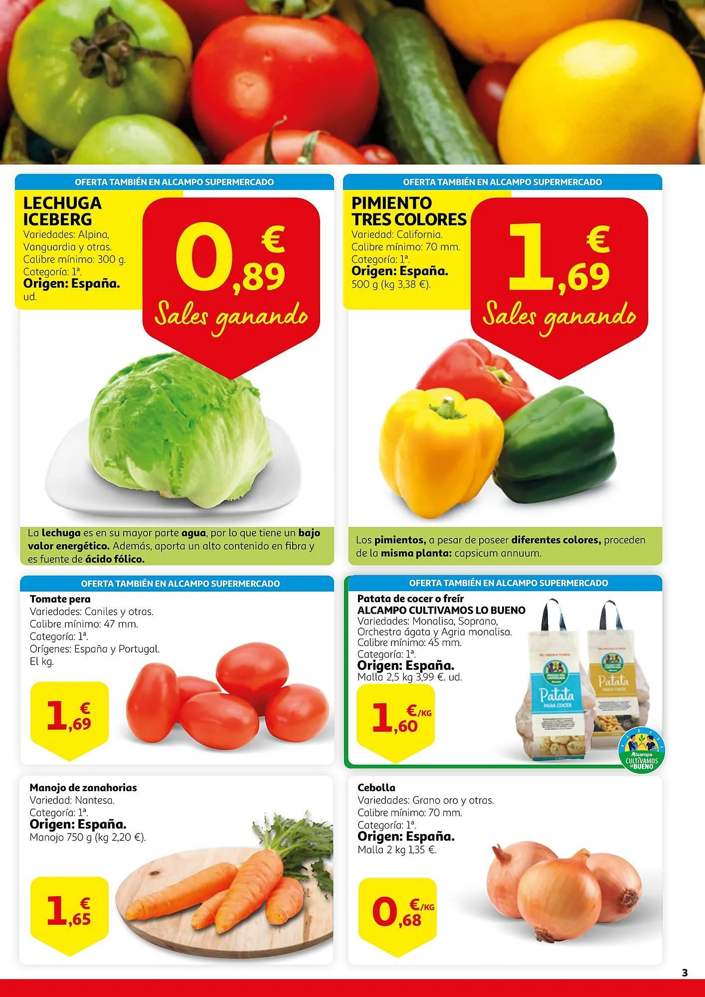 Catálogo de Folleto Alcampo 19 de julio al 31 de julio 2024 - Página 3