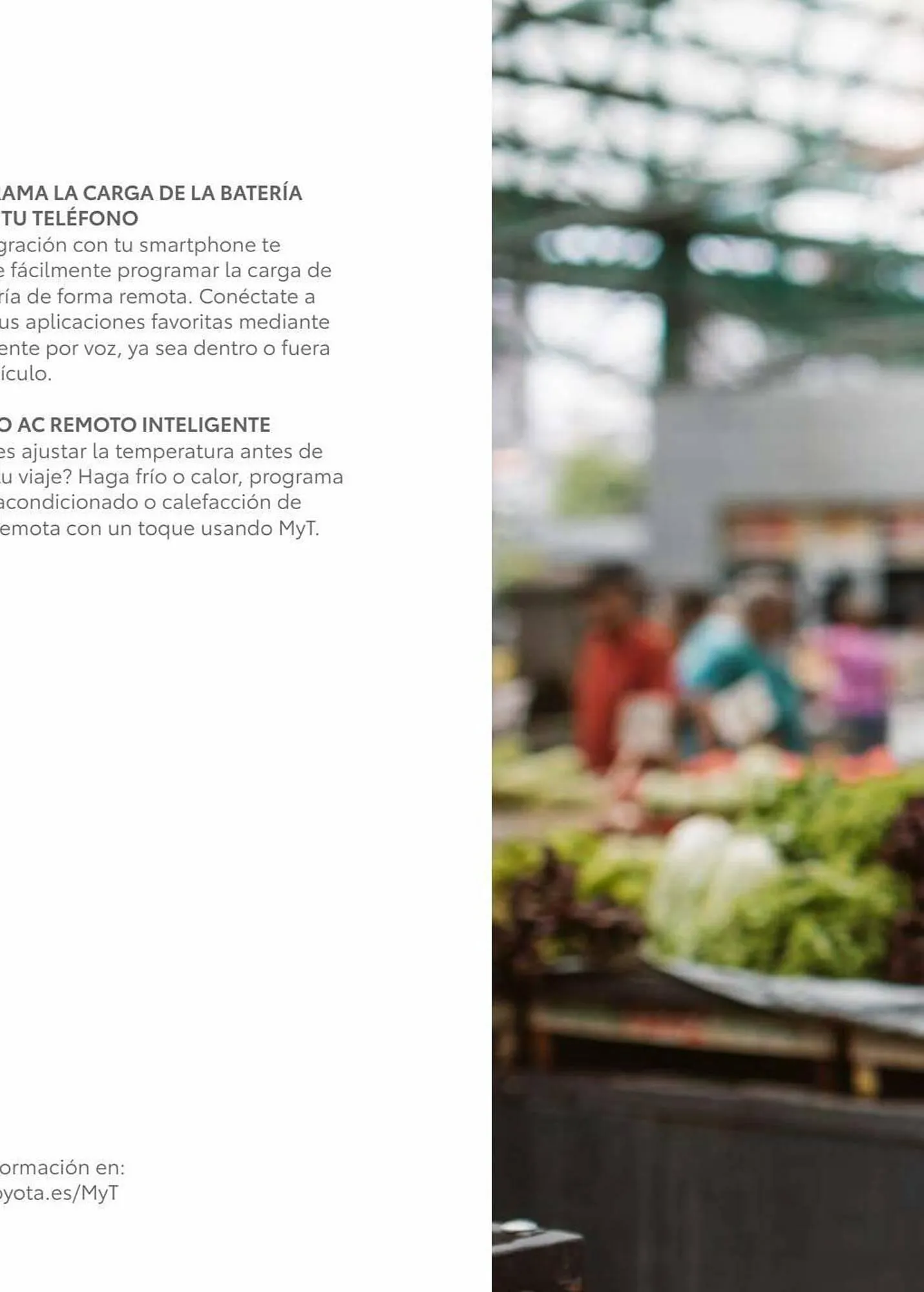 Catálogo de Folleto Toyota 8 de enero al 8 de enero 2024 - Página 23