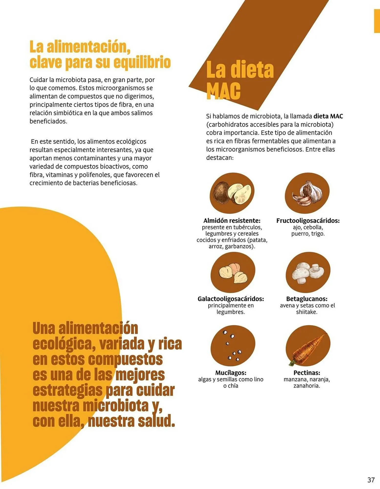 Catálogo de Catálogo Veritas 2 de febrero al 28 de febrero 2026 - Página 37