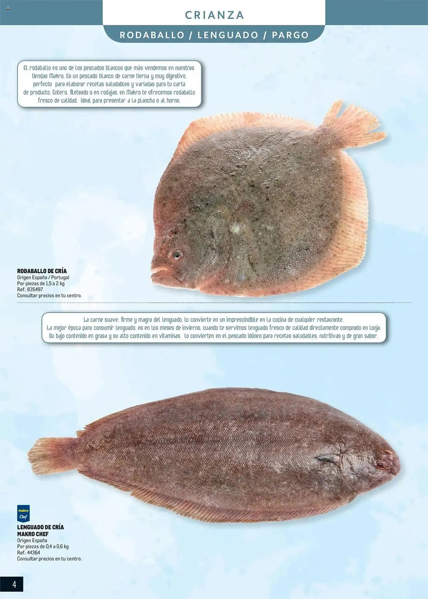 Catálogo de Folleto Makro 11 de junio al 31 de diciembre 2025 - Página 4