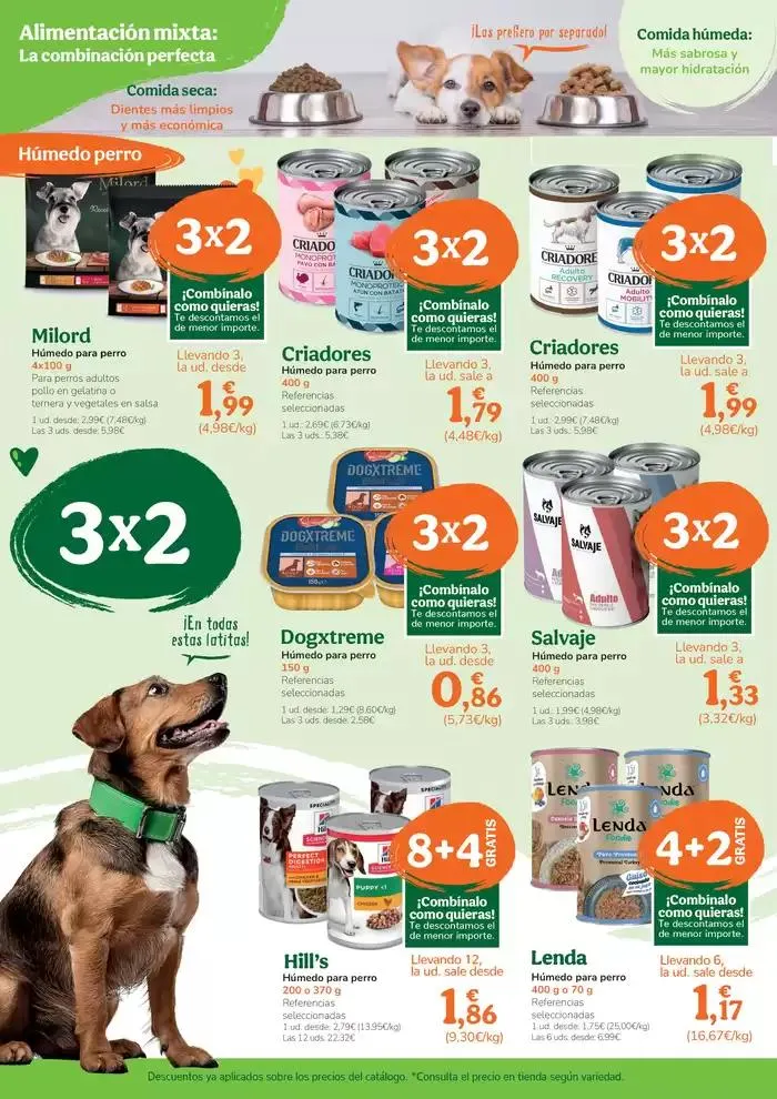 Catálogo de Descuentazos para consentir a tu amorcito 30 de enero al 27 de febrero 2025 - Página 4