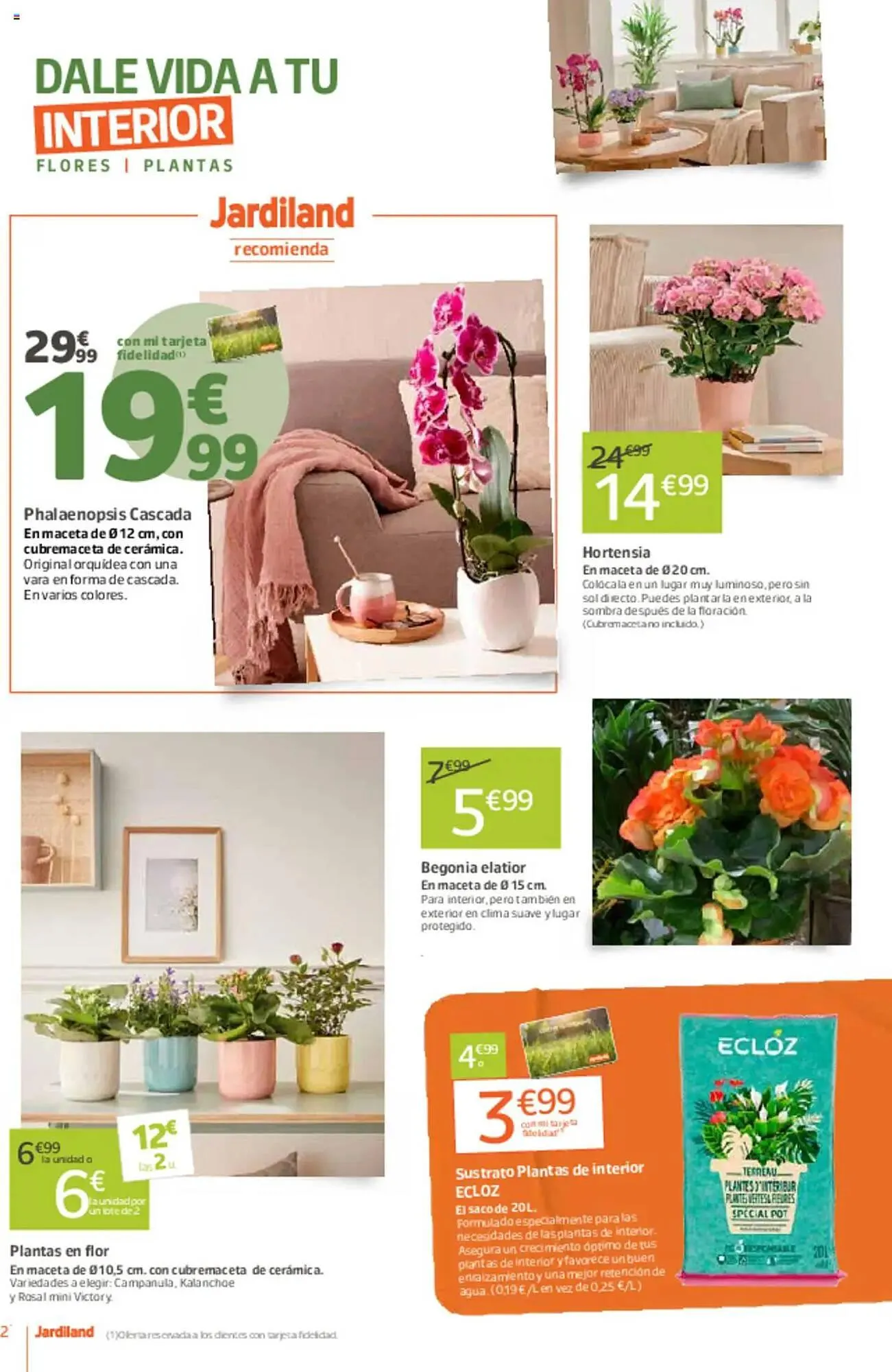 Catálogo de Folleto Jardiland 6 de marzo al 23 de marzo 2025 - Página 2