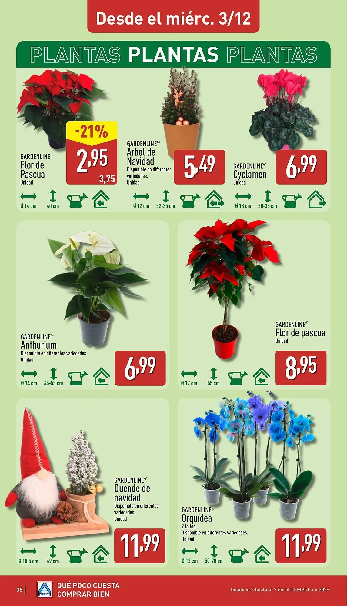 Catálogo de Folleto ALDI 1 de diciembre al 7 de diciembre 2025 - Página 38