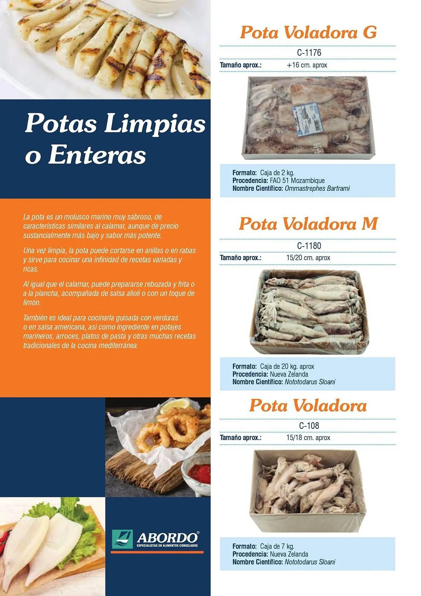 Catálogo de Folleto Abordo 5 de marzo al 30 de junio 2026 - Página 30