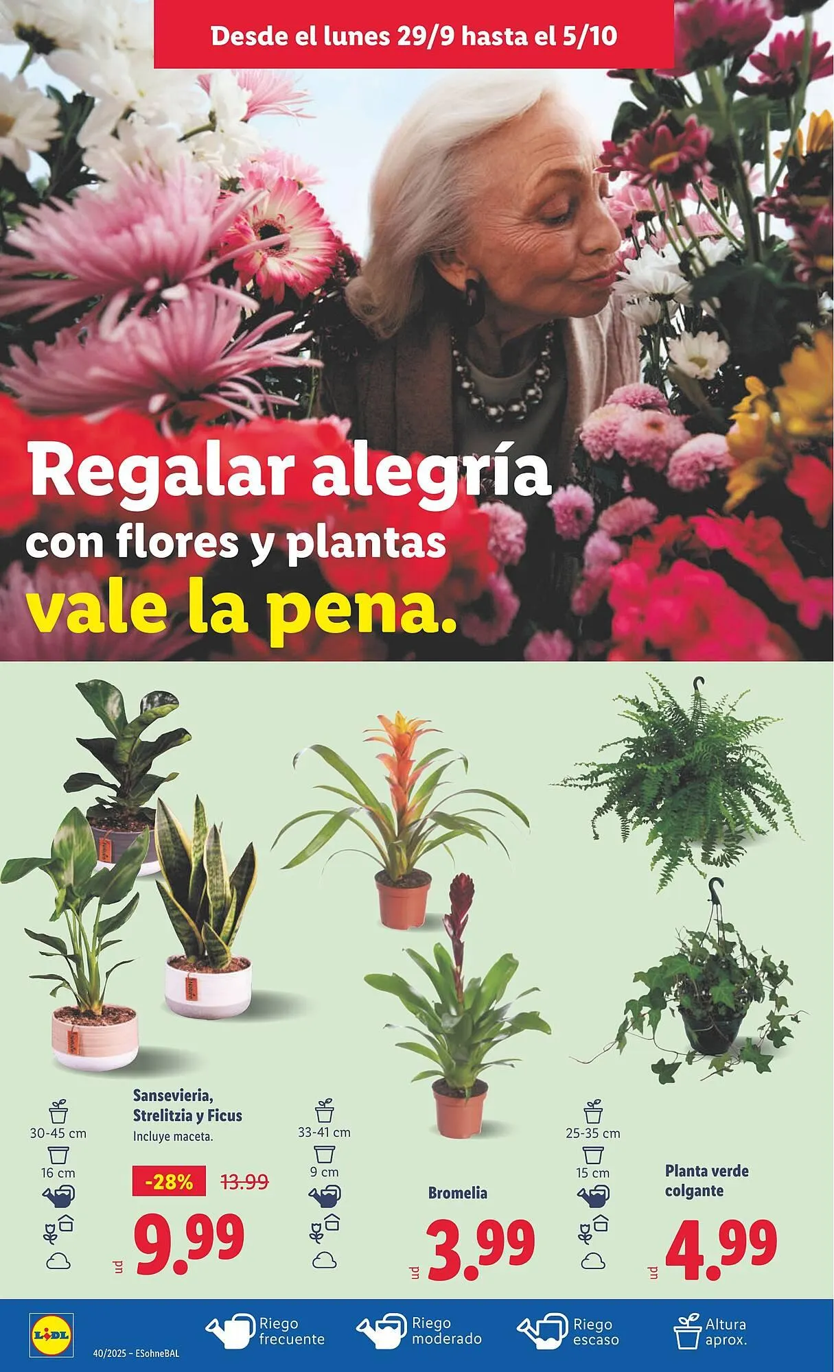 Catálogo de Catálogo Lidl 29 de septiembre al 5 de octubre 2025 - Página 28