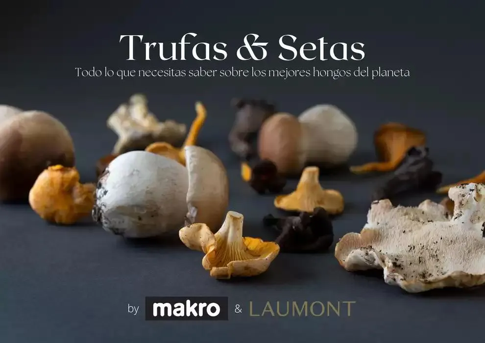 Catálogo de GUIA DE TRUFAS Y SETAS MAKRO - MAKRO 31 de diciembre al 14 de enero 2025 - Página 1