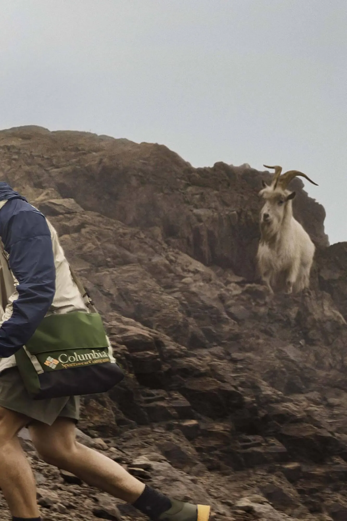 Catálogo de Folleto Forum Sport 1 de agosto al 29 de septiembre 2023 - Página 3