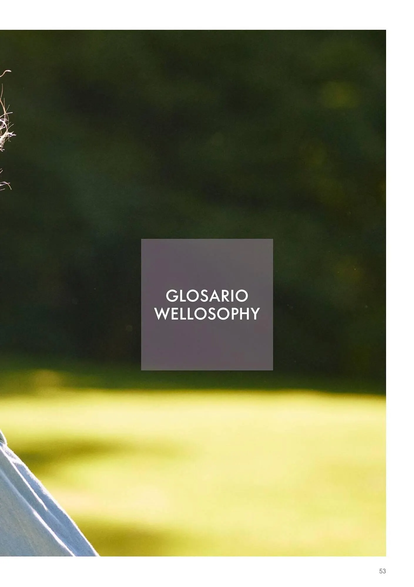 Catálogo de Catálogo Oriflame 19 de enero al 19 de febrero 2026 - Página 53