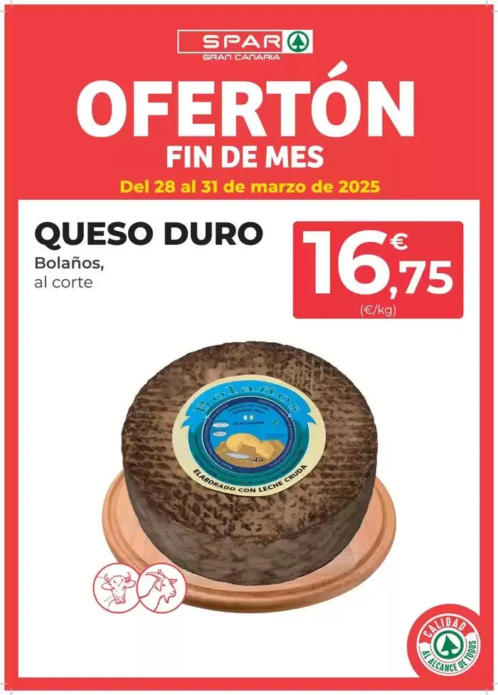 Catálogo de Del 28 al 31 de marzo 28 de marzo al 31 de marzo 2025 - Página 2