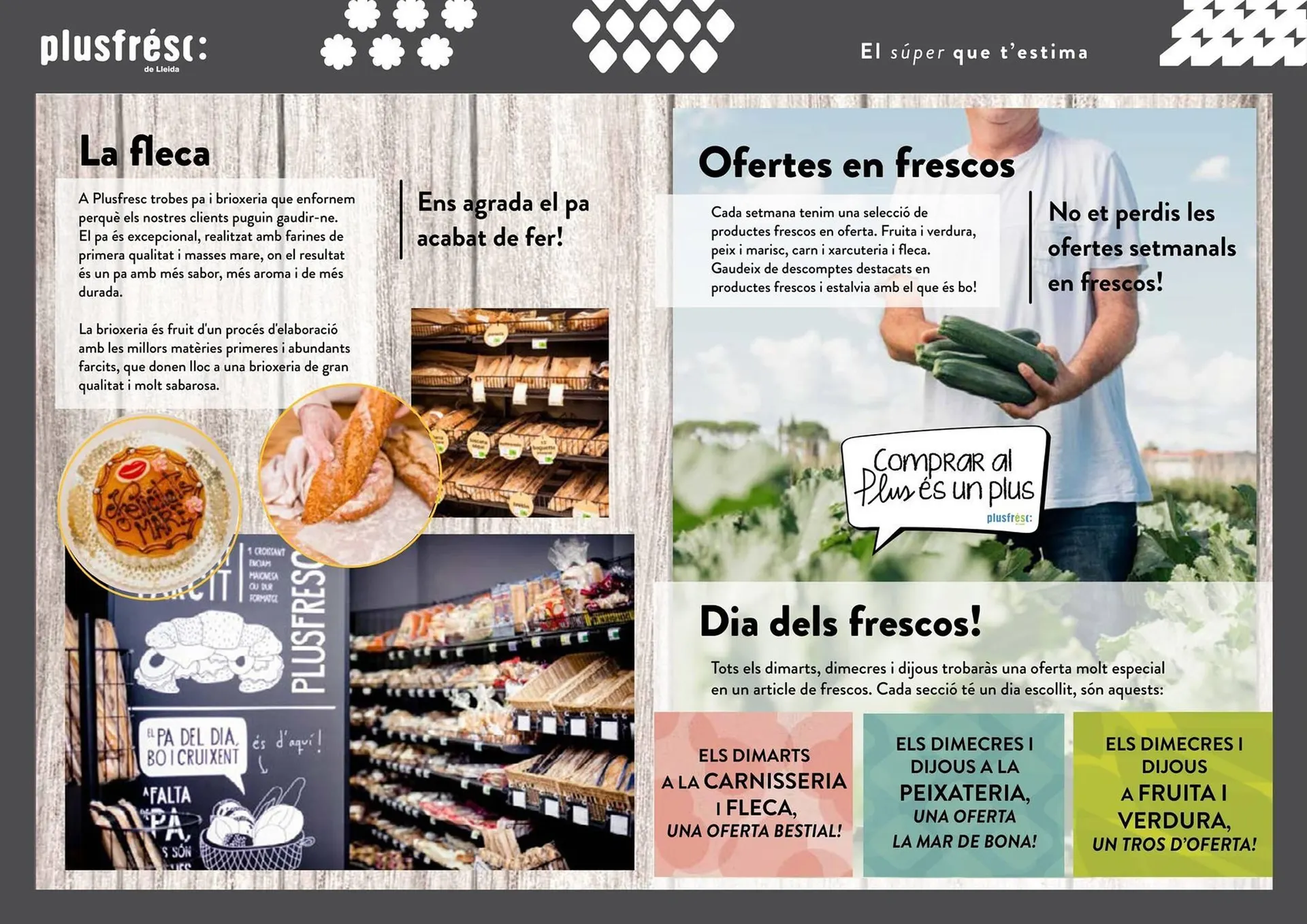 Catálogo de Folleto Plusfresc 10 de abril al 31 de octubre 2026 - Página 7