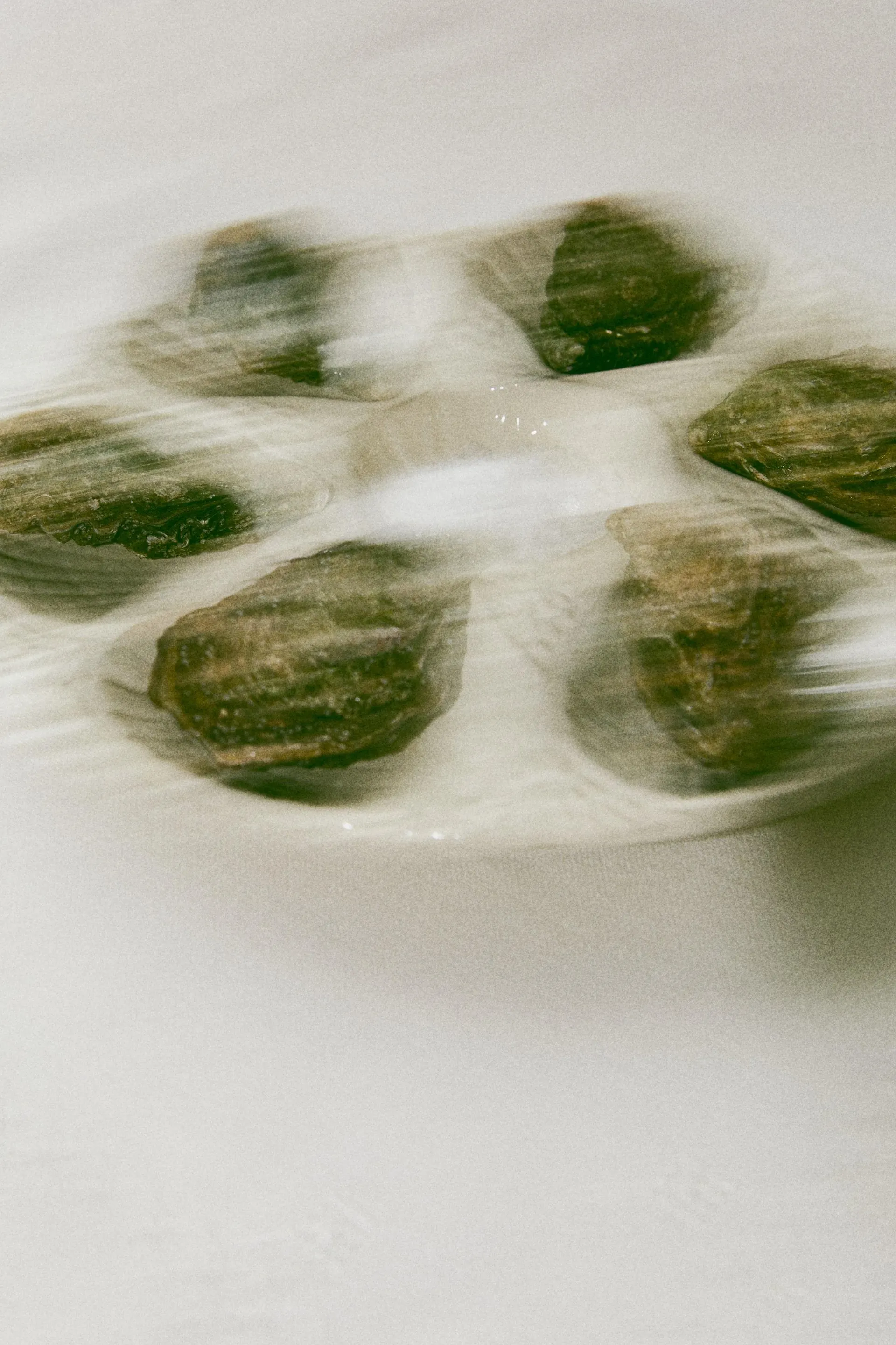 Plato de gres para servir ostras